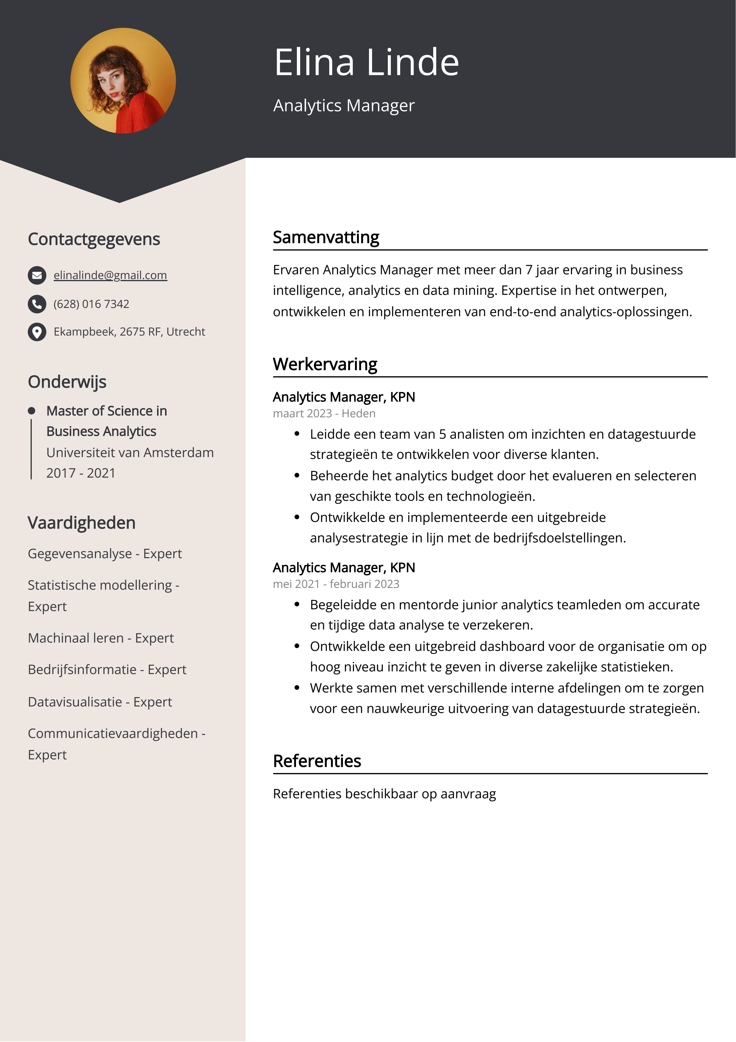 Analytics Manager CV Voorbeeld