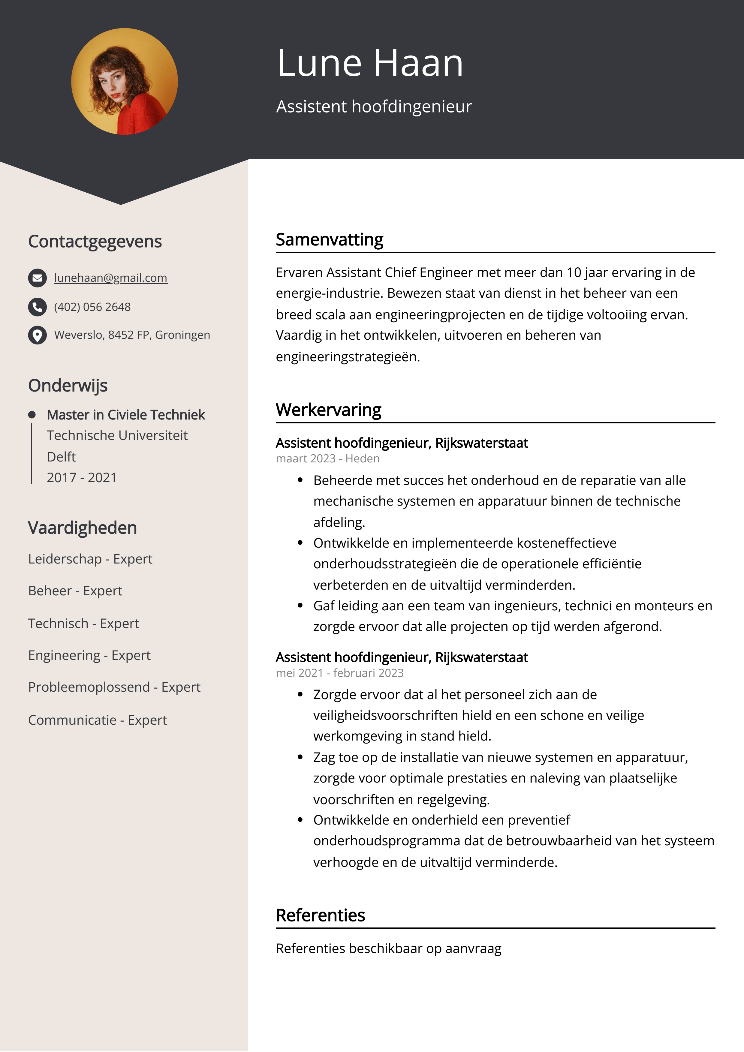 Assistent hoofdingenieur CV Voorbeeld