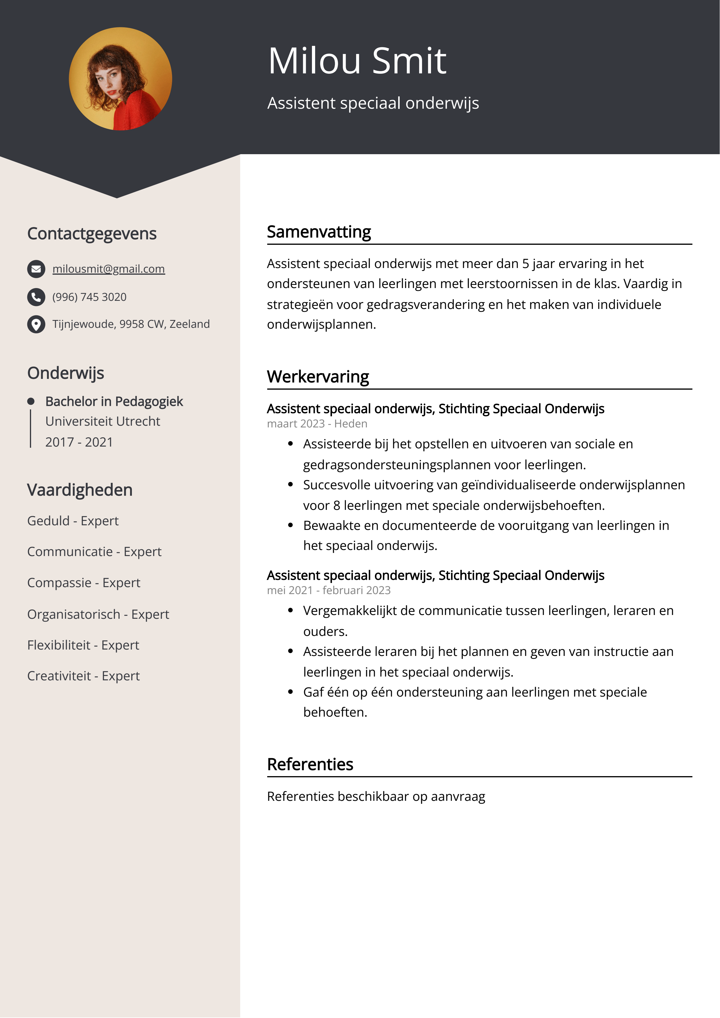 Assistent speciaal onderwijs CV Voorbeeld