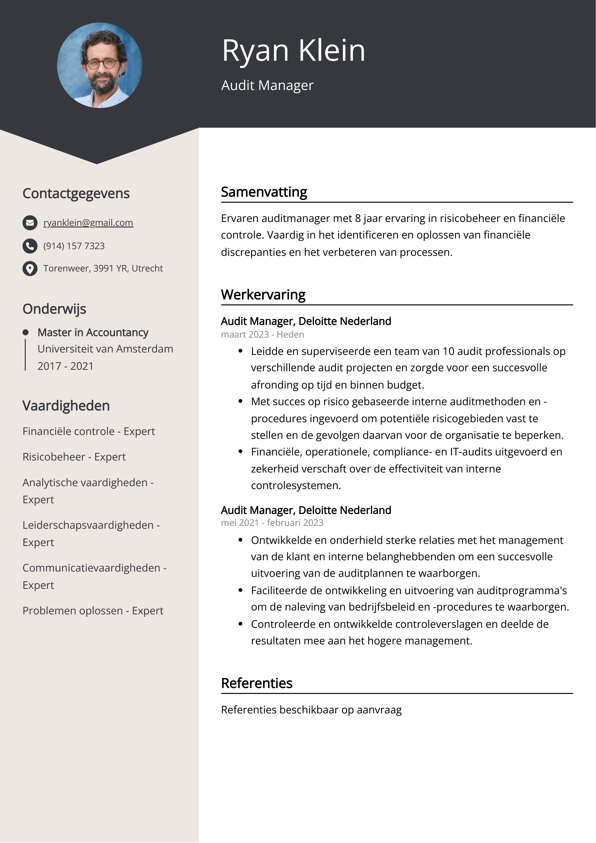 Audit Manager CV Voorbeeld