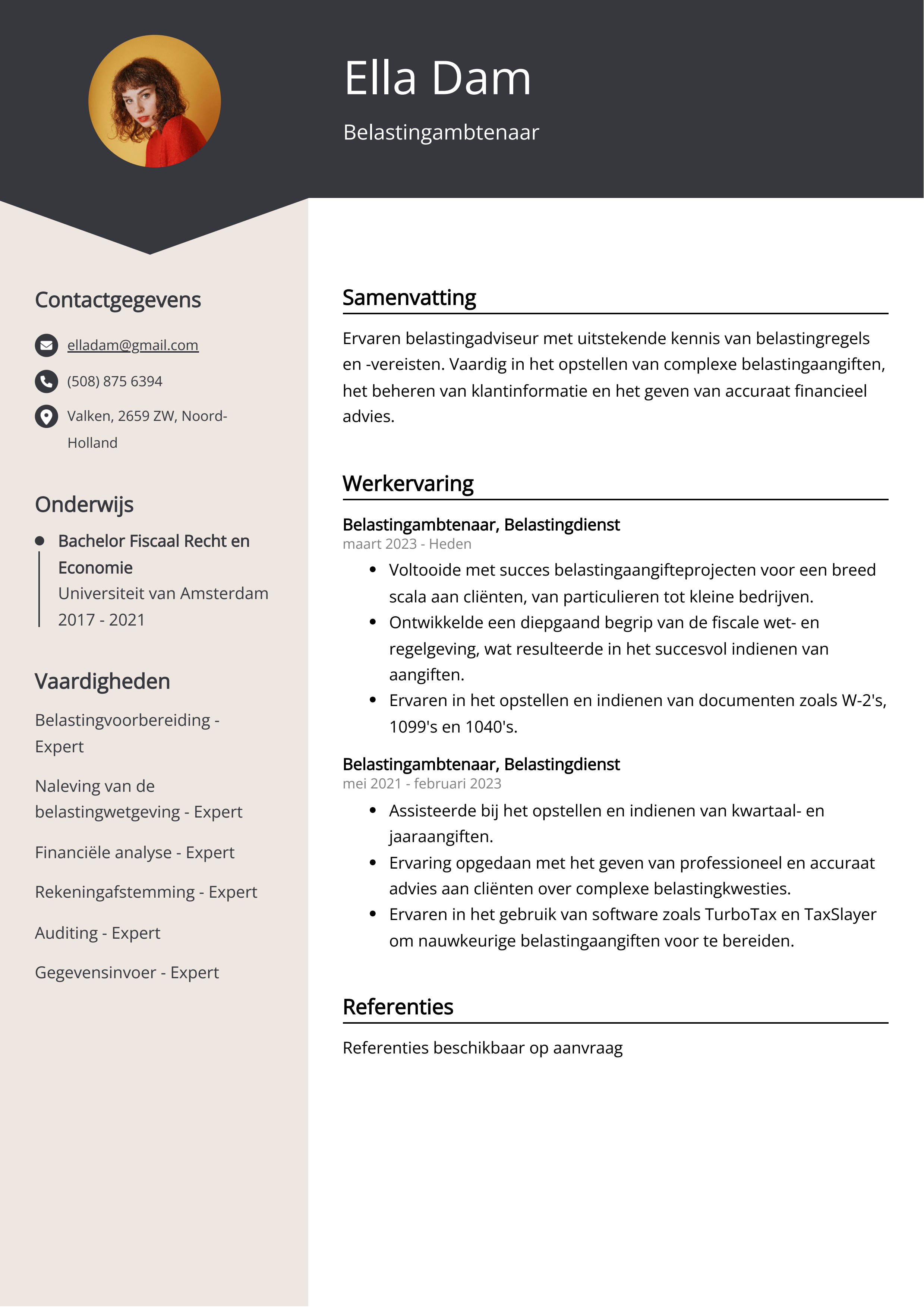 Belastingambtenaar CV Voorbeeld