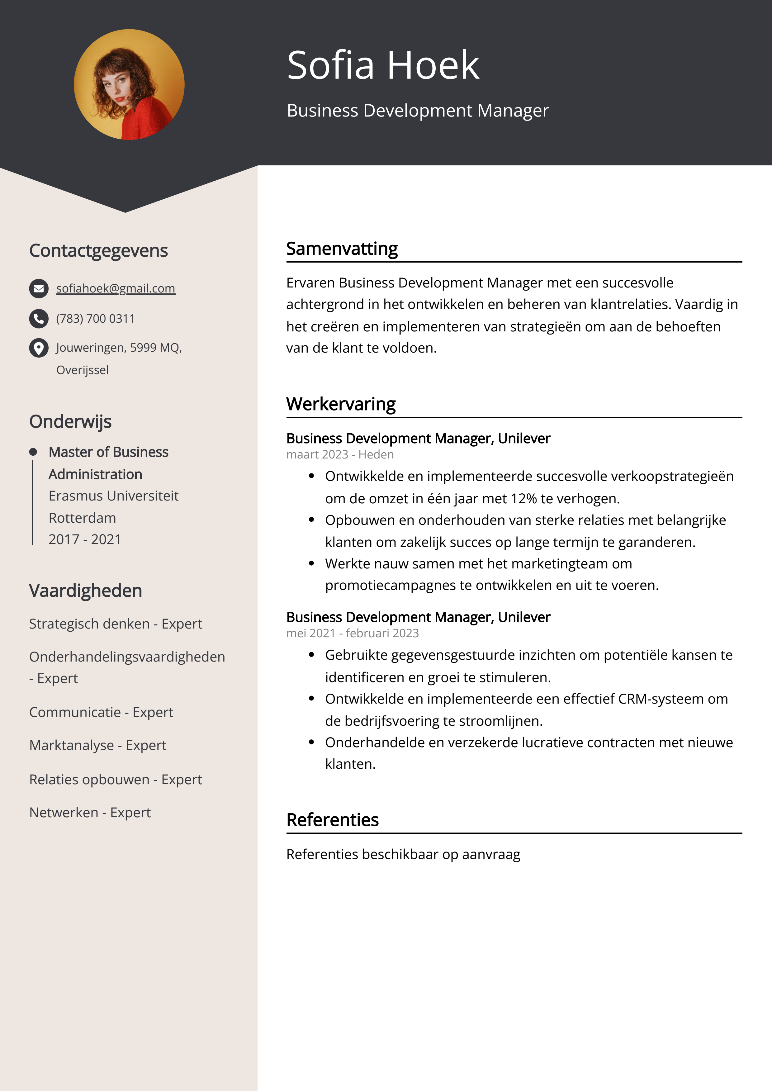 Business Development Manager CV Voorbeeld