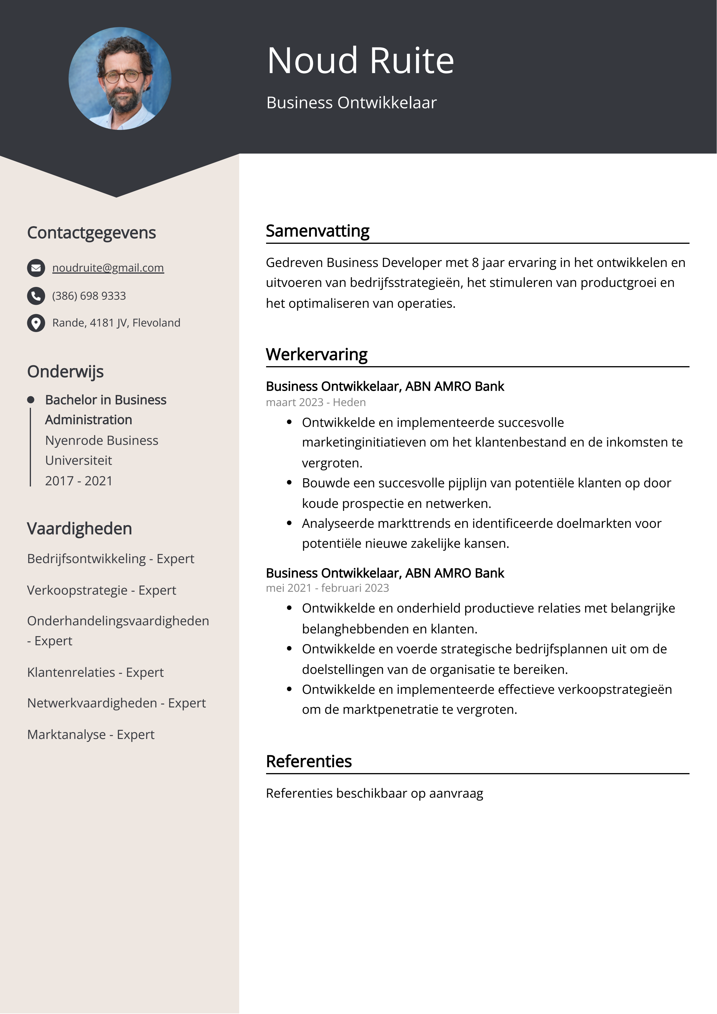 Zakelijk Ontwikkelaar CV Voorbeeld