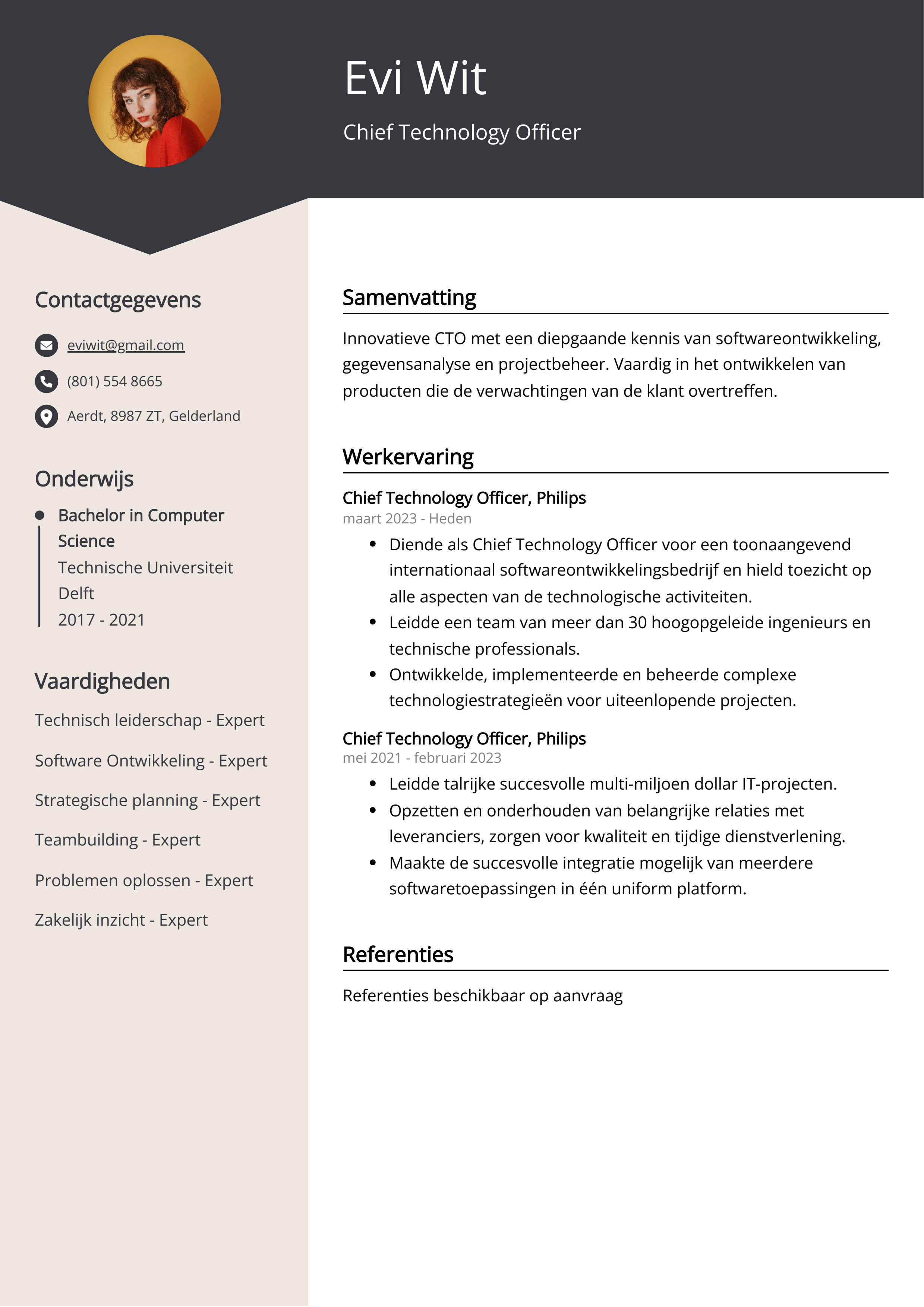 Chief Technology Officer CV Voorbeeld