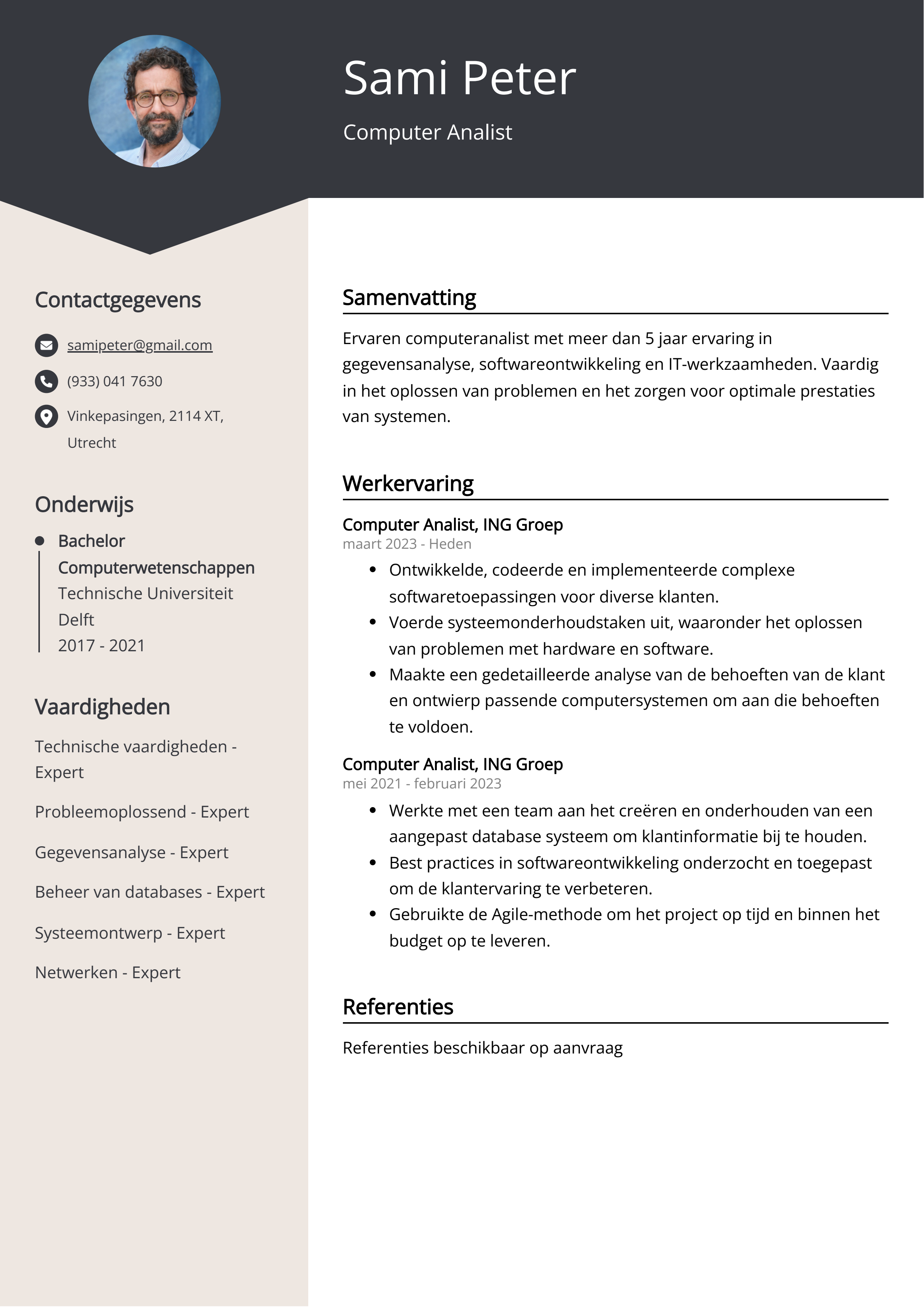 Computer Analist CV Voorbeeld