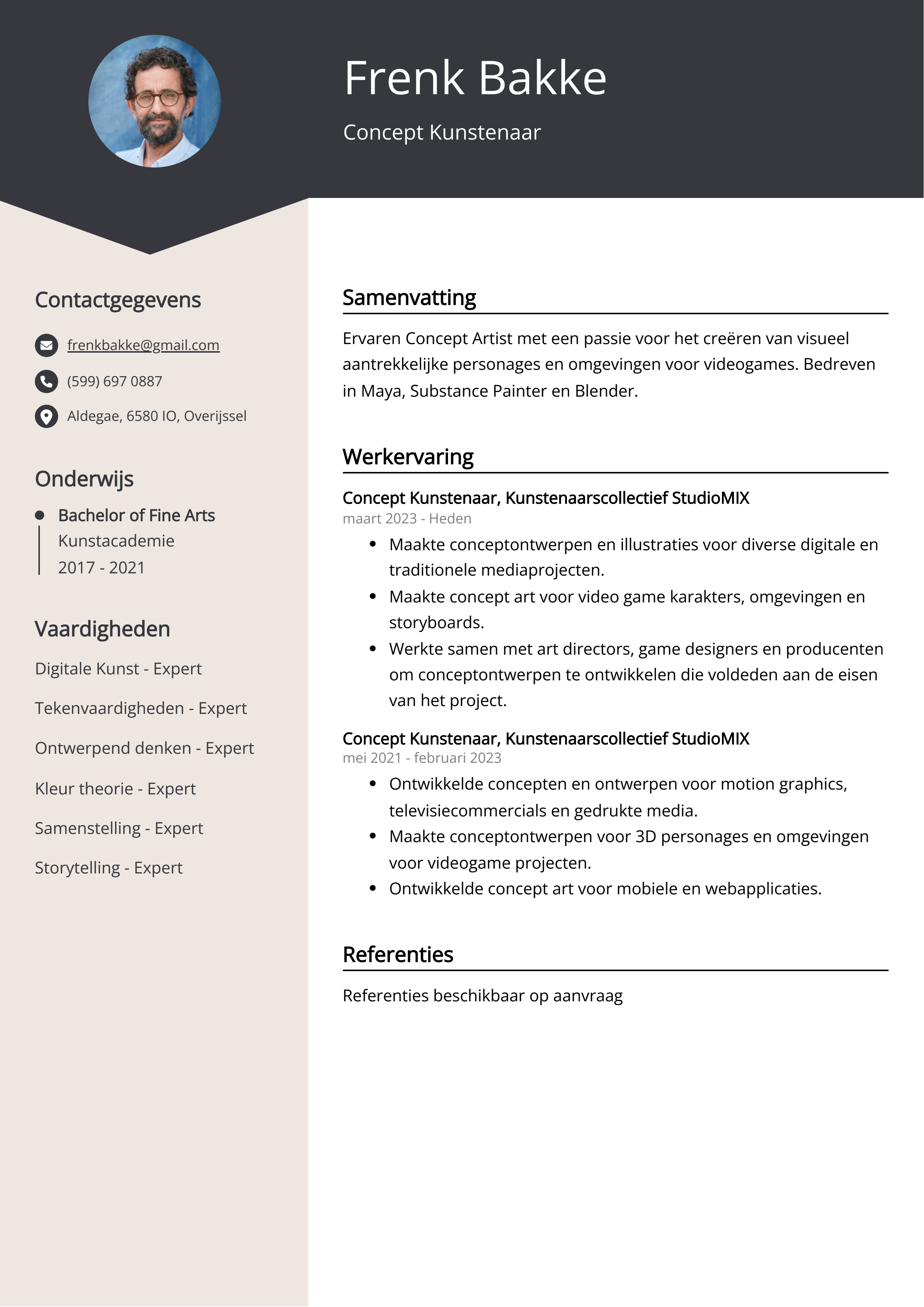 Concept Kunstenaar CV Voorbeeld