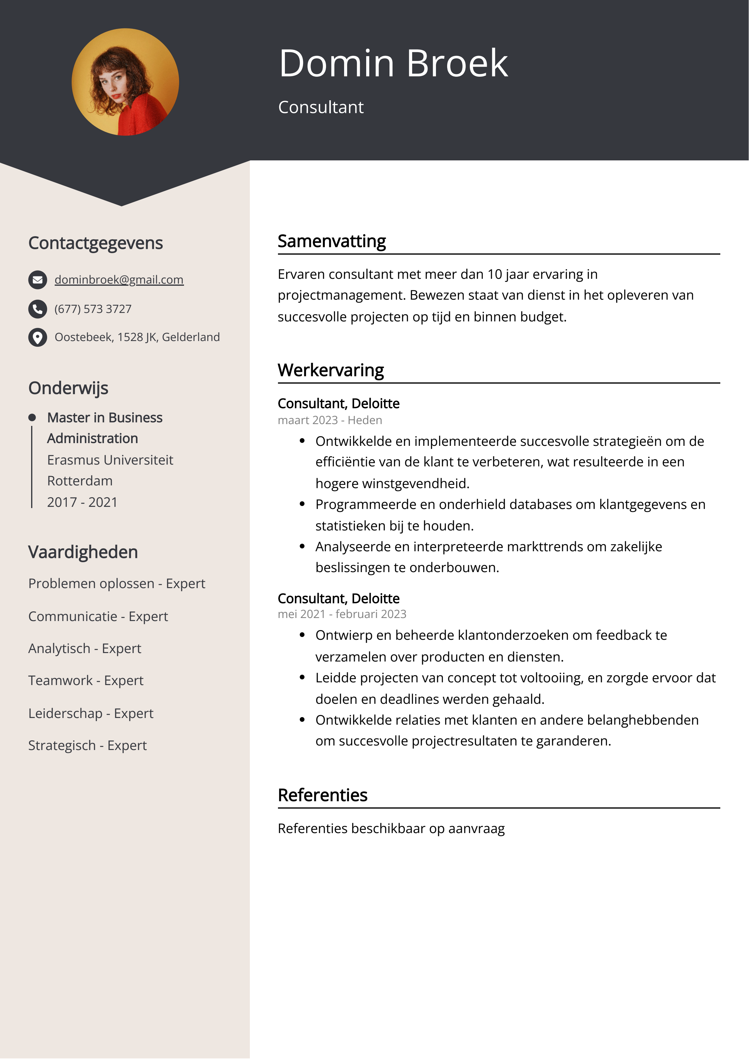 Consultant CV Voorbeeld