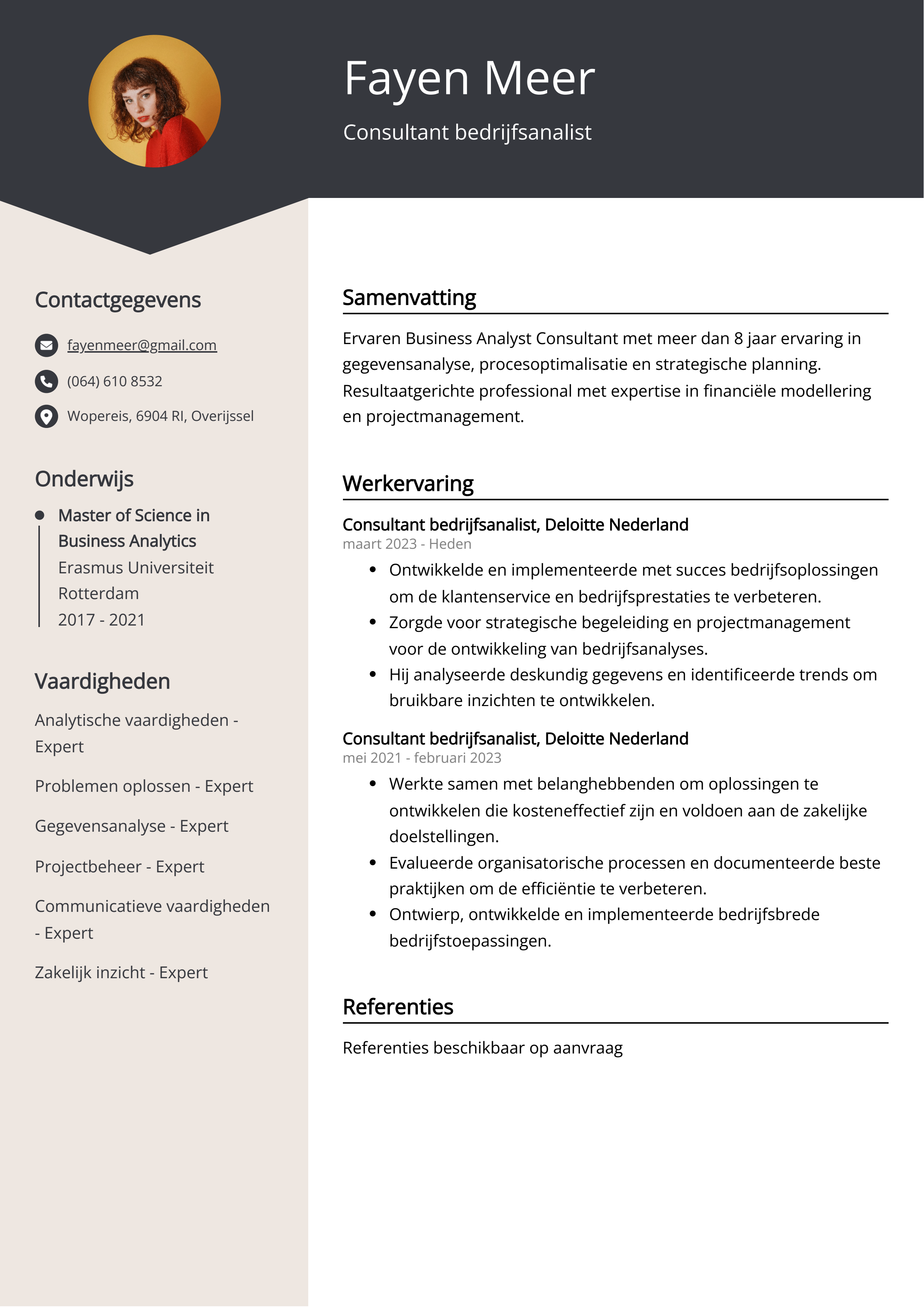 Consultant bedrijfsanalist CV Voorbeeld