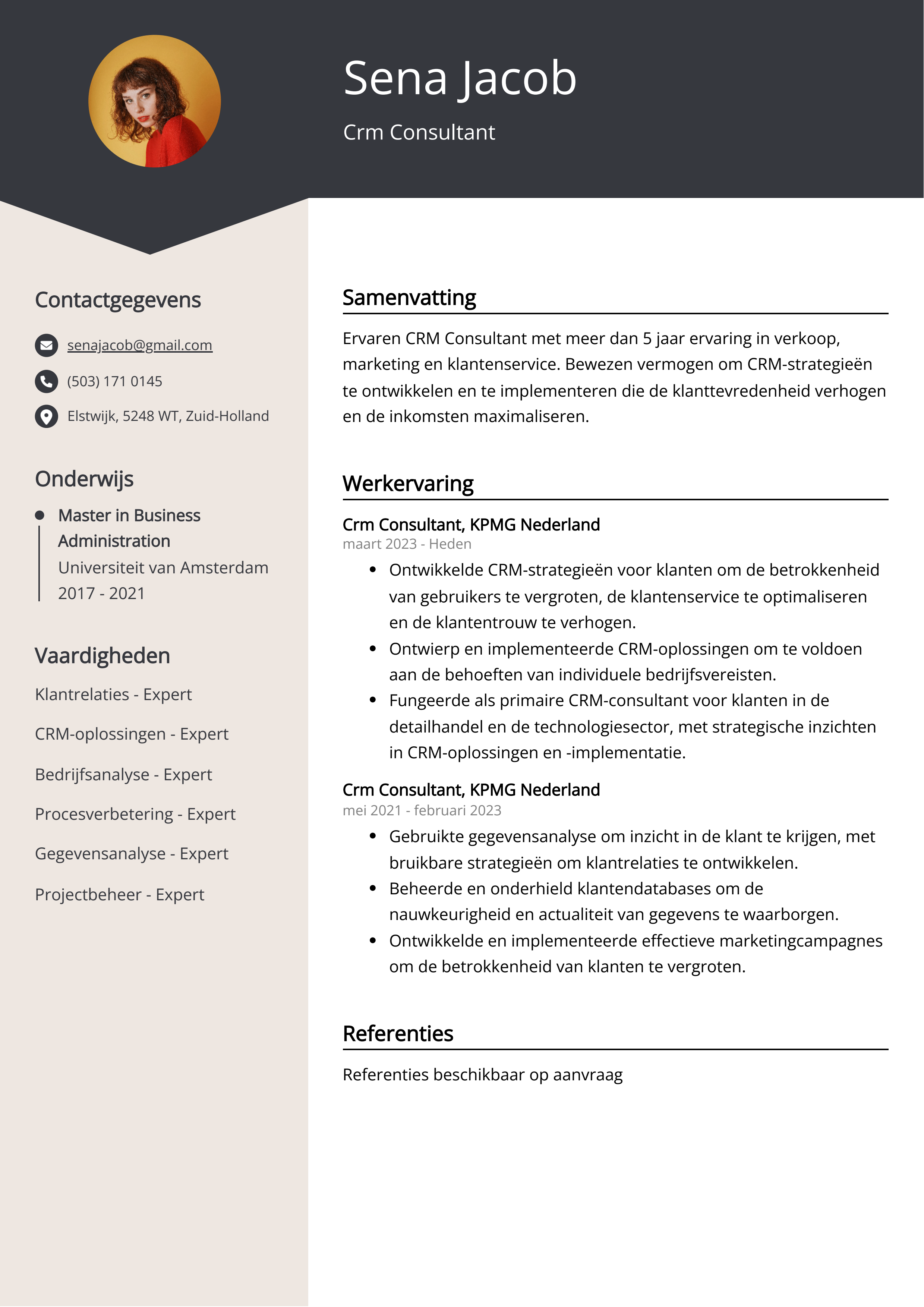 Crm Consultant CV Voorbeeld