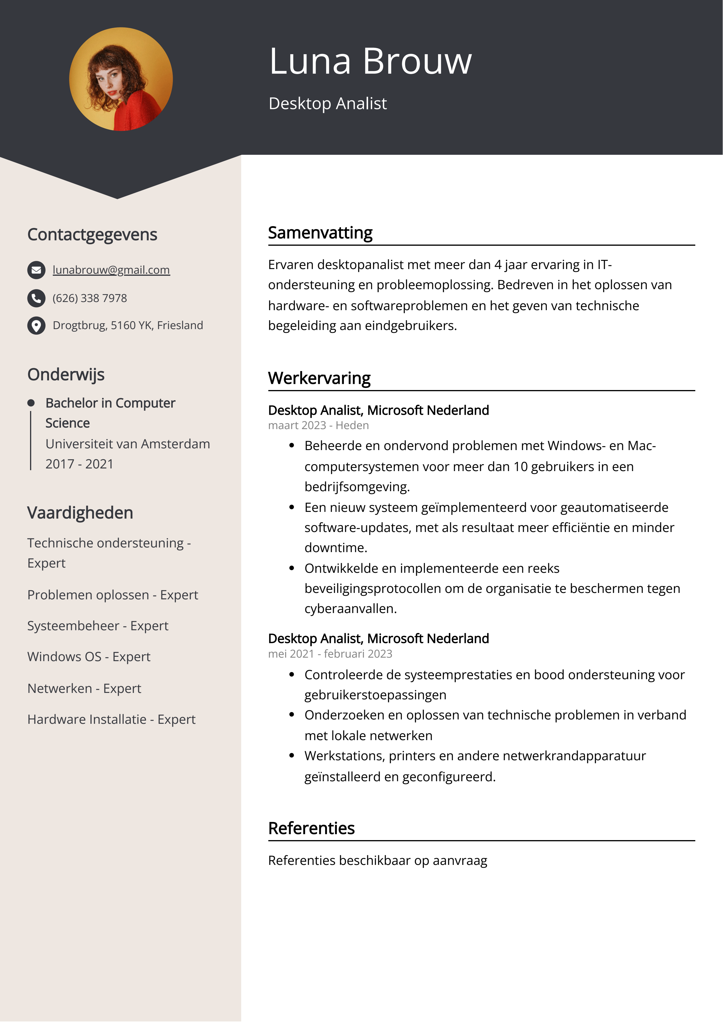 Desktop Analist CV Voorbeeld