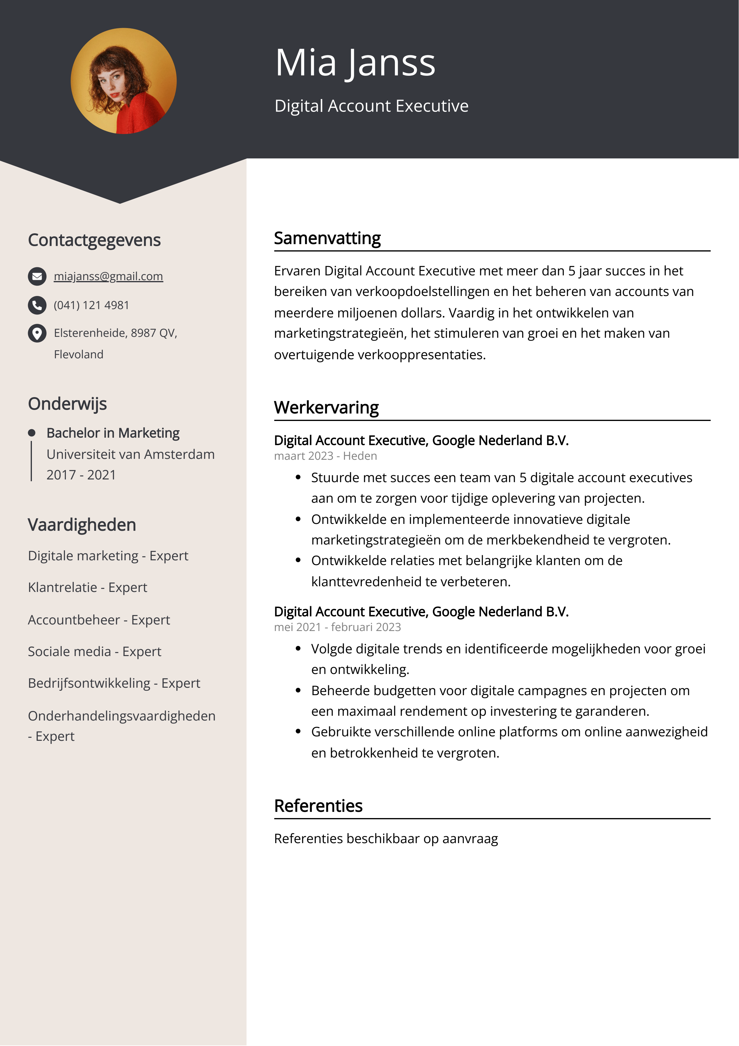 Digital Account Executive CV Voorbeeld