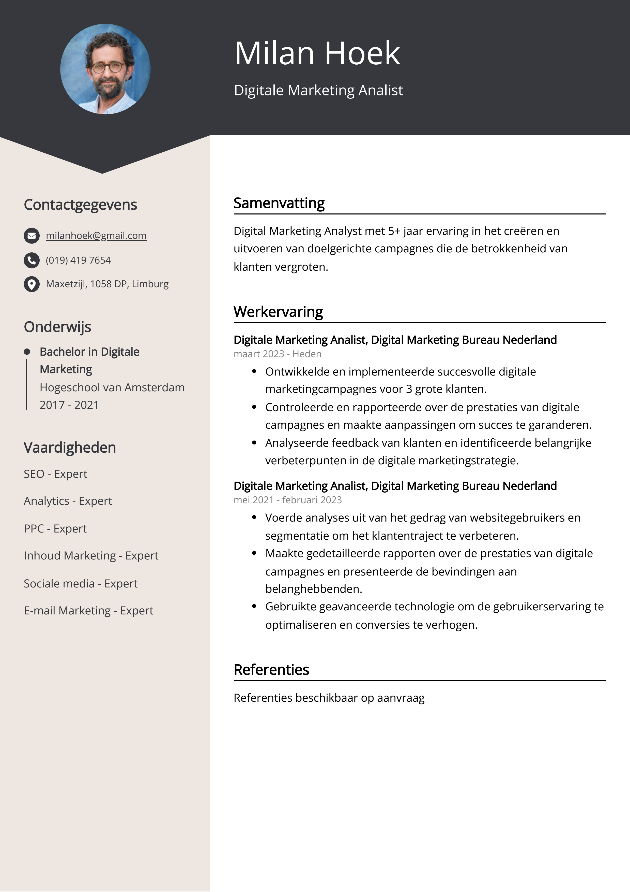 Digitale Marketing Analist CV Voorbeeld