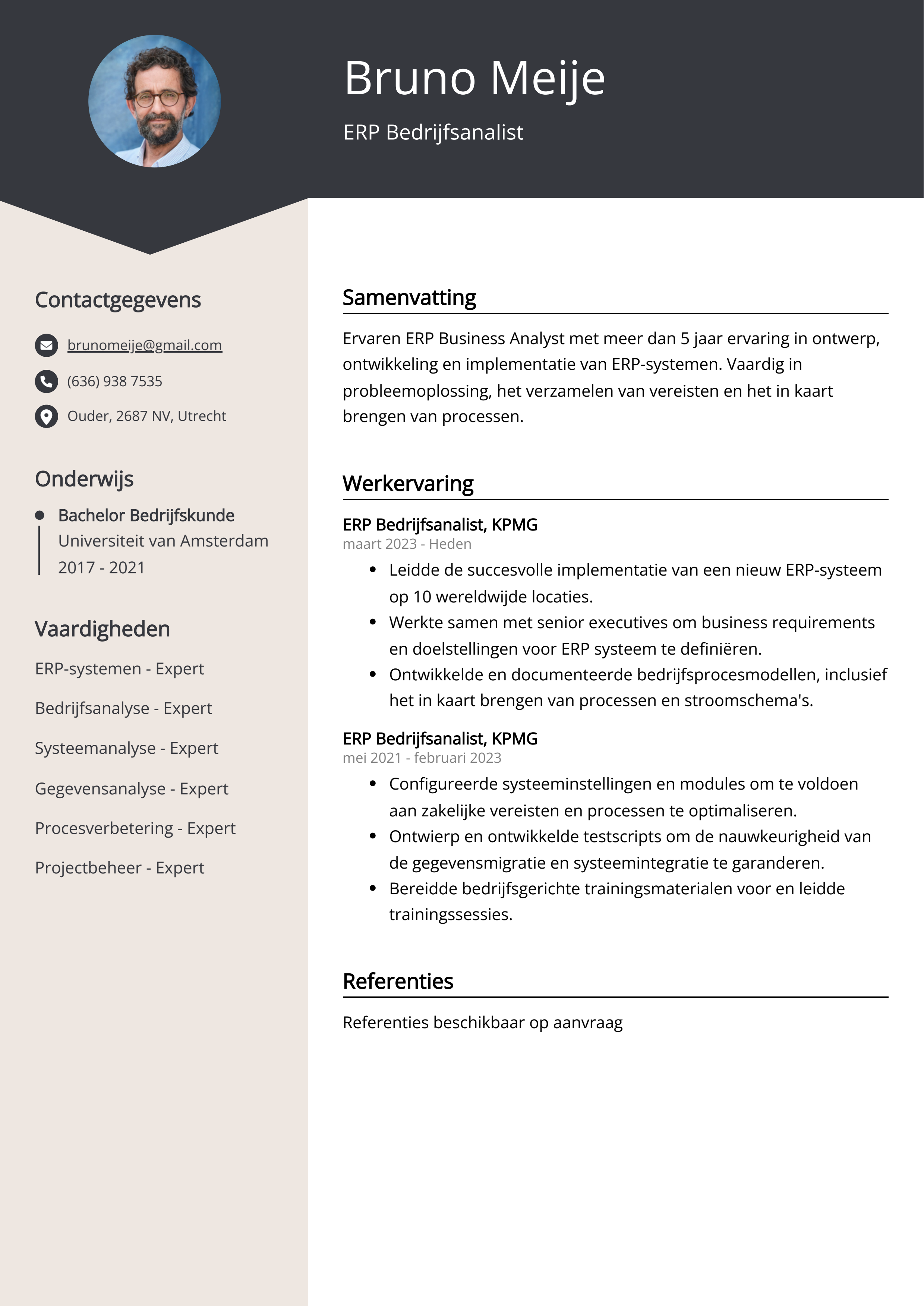 ERP Bedrijfsanalist CV Voorbeeld