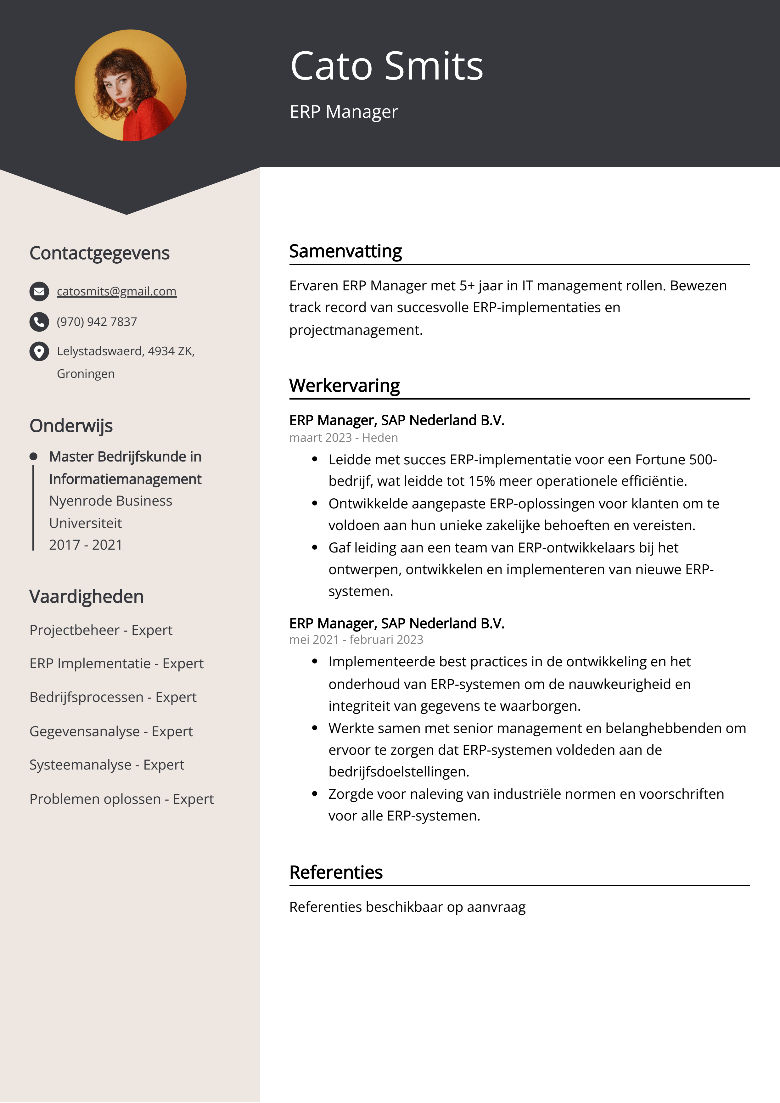 ERP Manager CV Voorbeeld