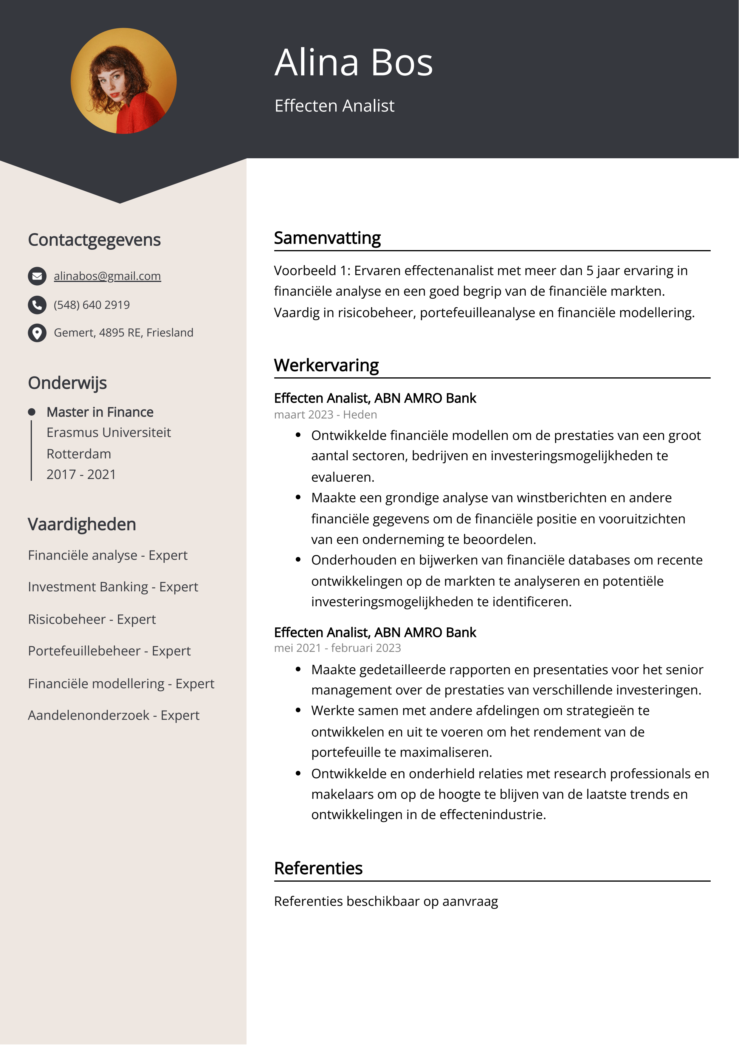 Effecten Analist CV Voorbeeld