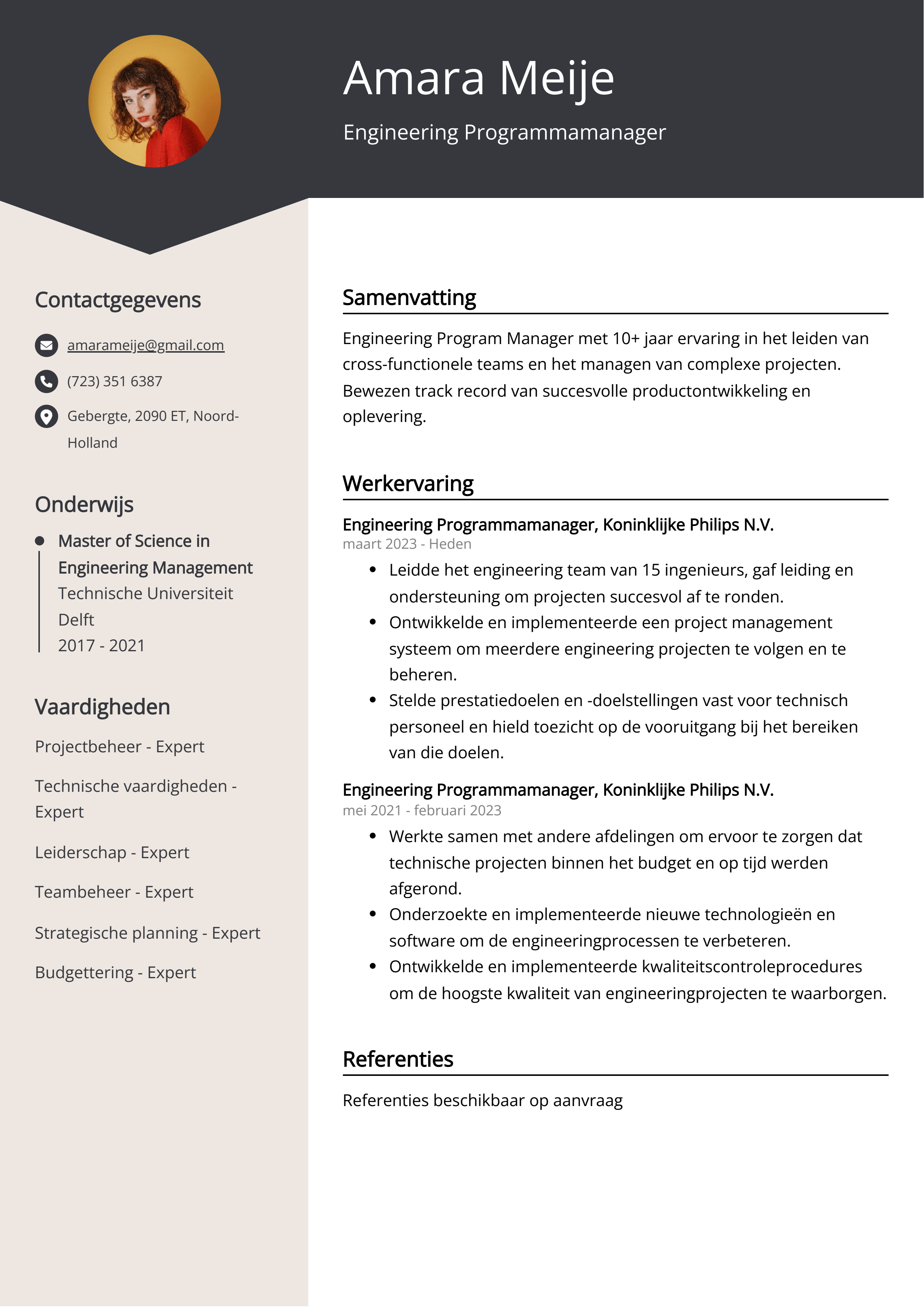 Engineering Programmamanager CV Voorbeeld