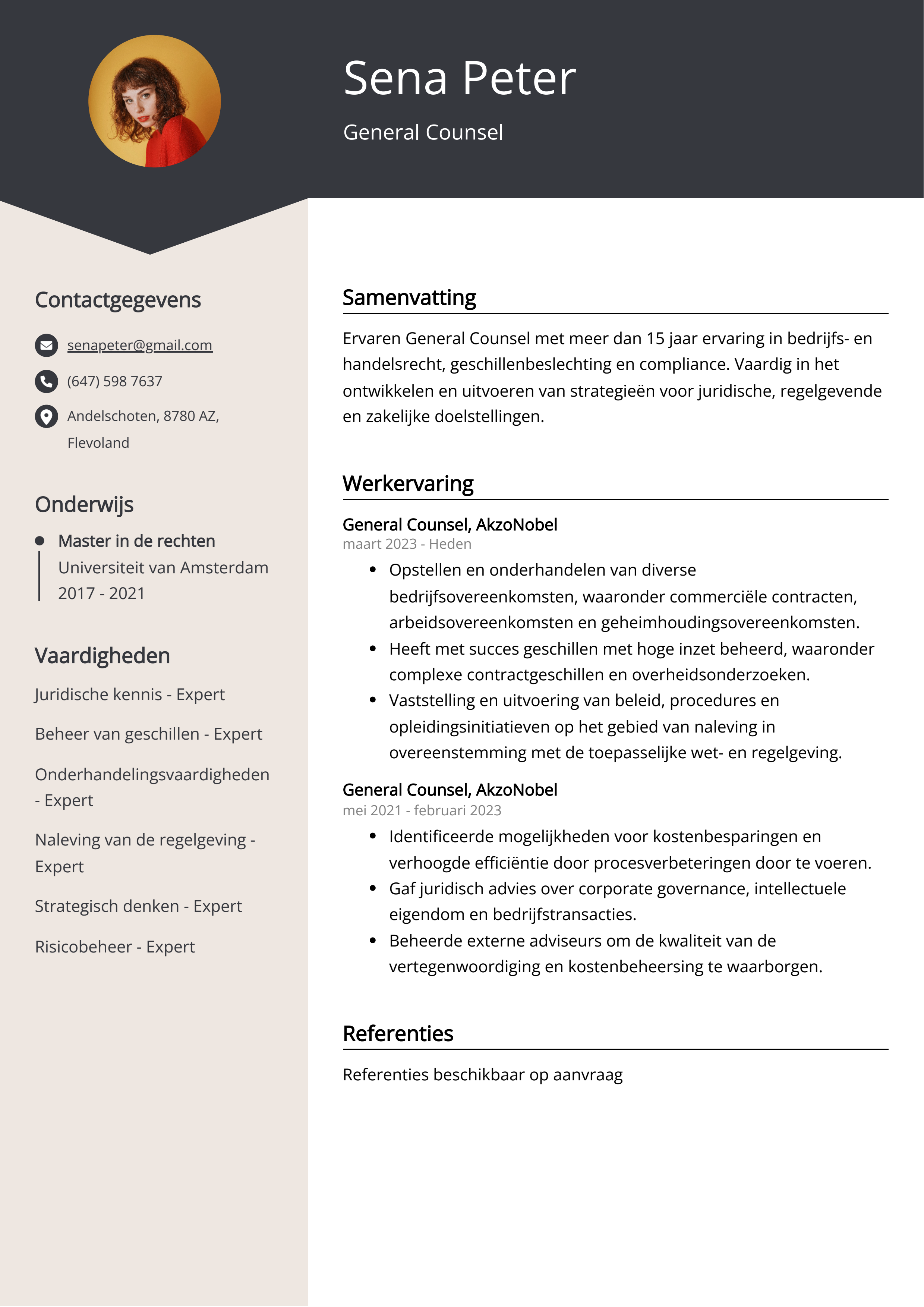 General Counsel CV Voorbeeld