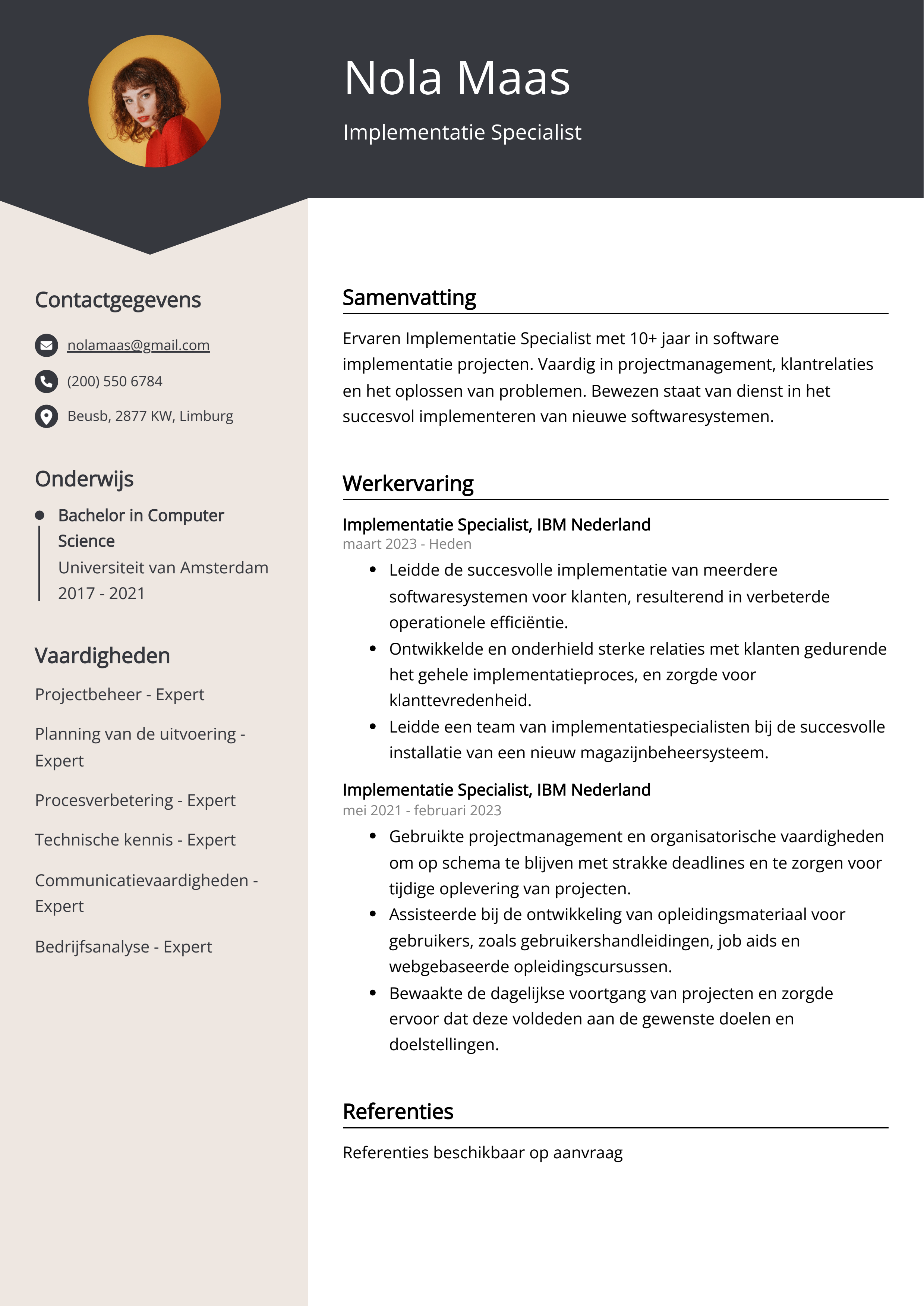 Implementatie Specialist CV Voorbeeld