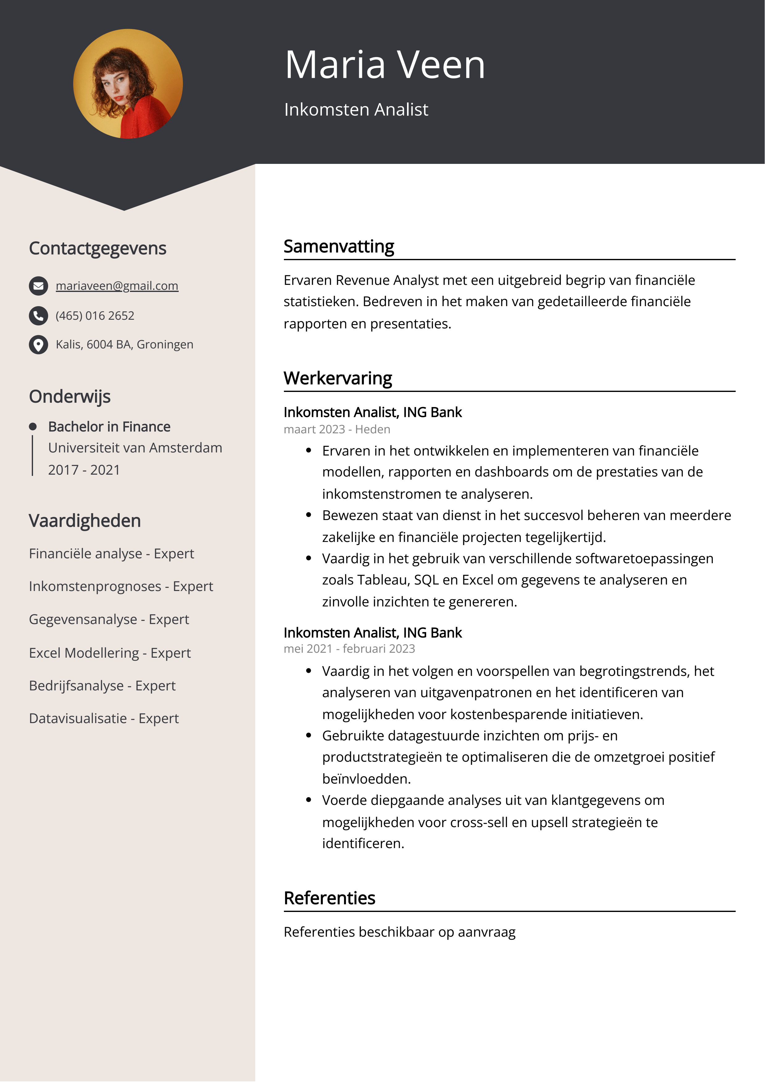 Inkomsten Analist Resume Voorbeeld