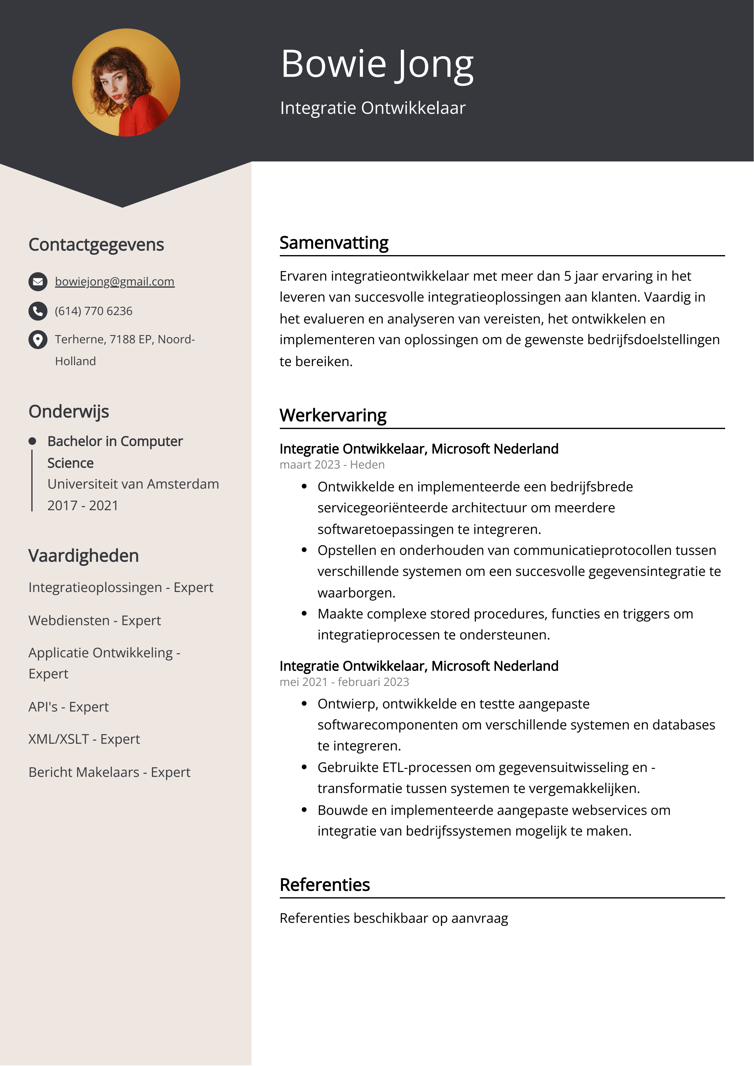 Integratie Ontwikkelaar CV Voorbeeld