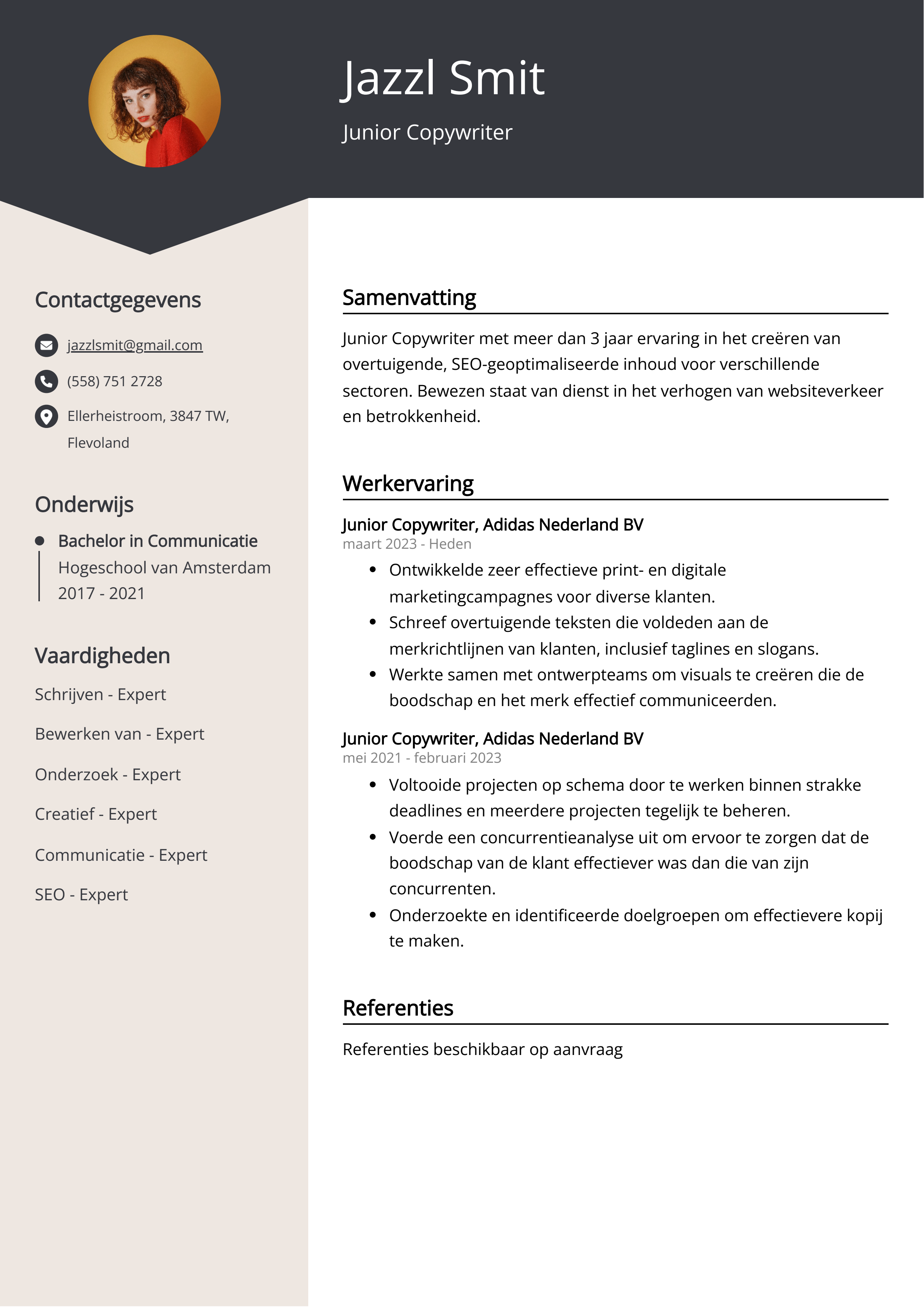 Junior Copywriter CV Voorbeeld