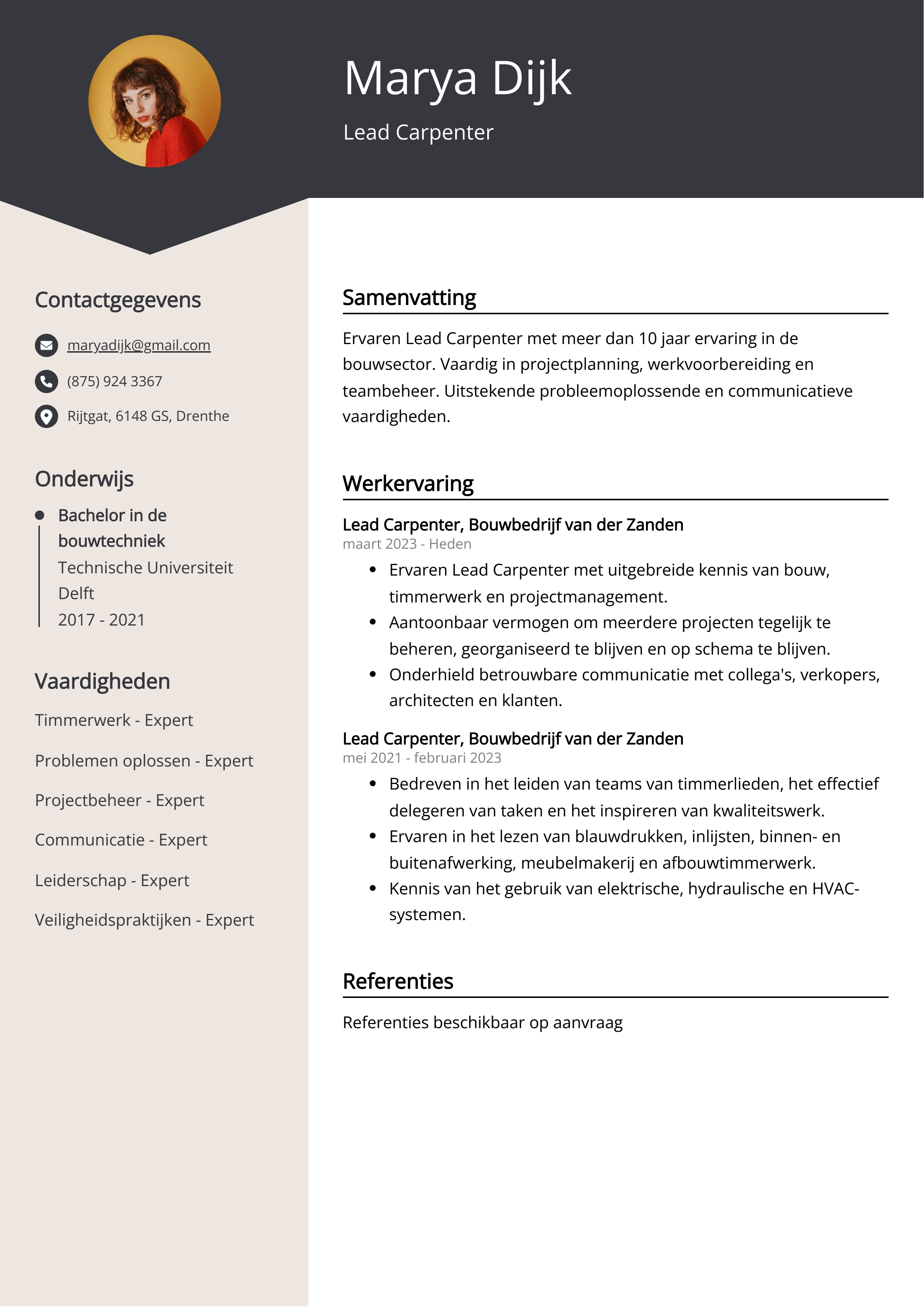 Lead Carpenter CV Voorbeeld