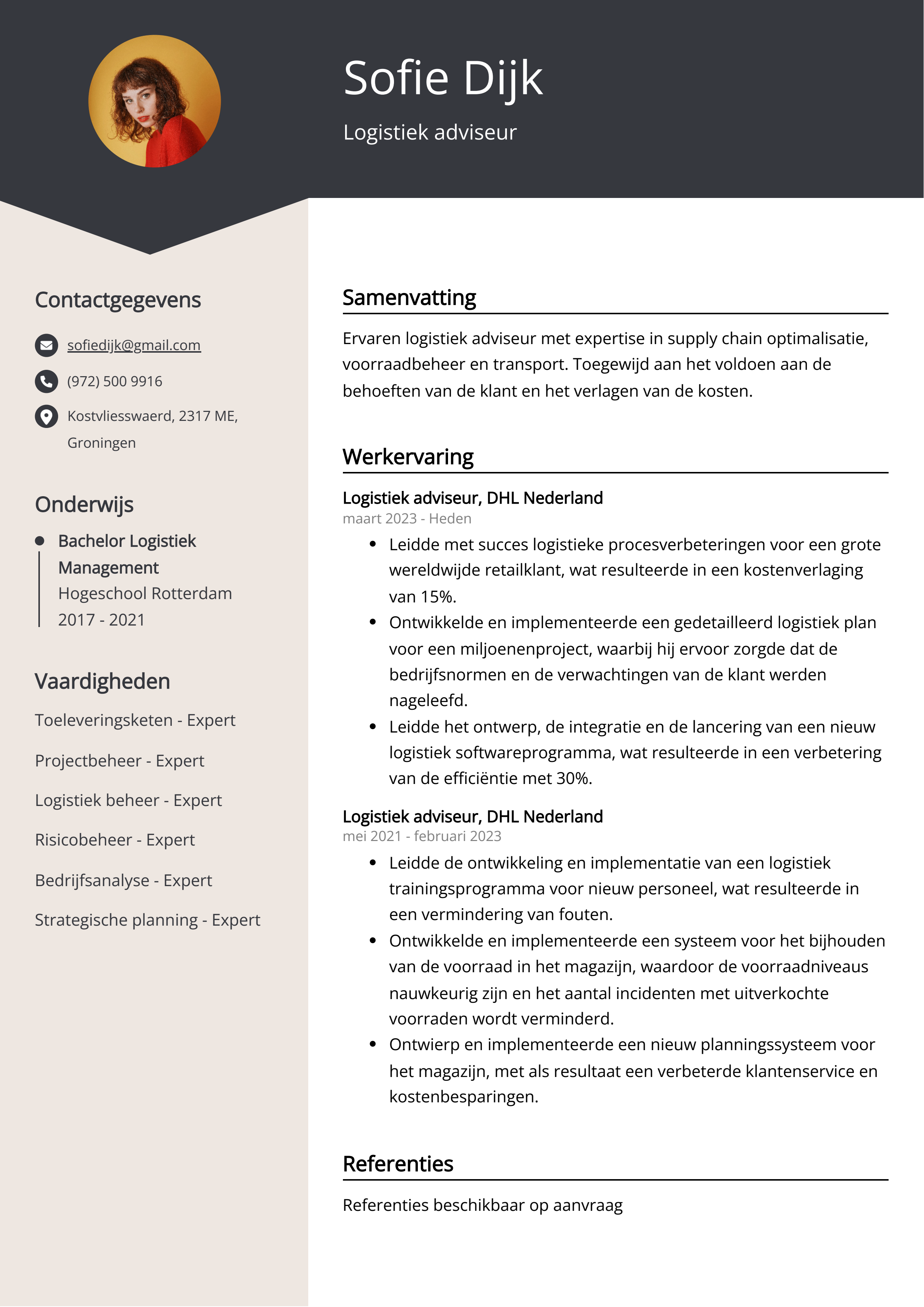 Logistiek adviseur CV Voorbeeld