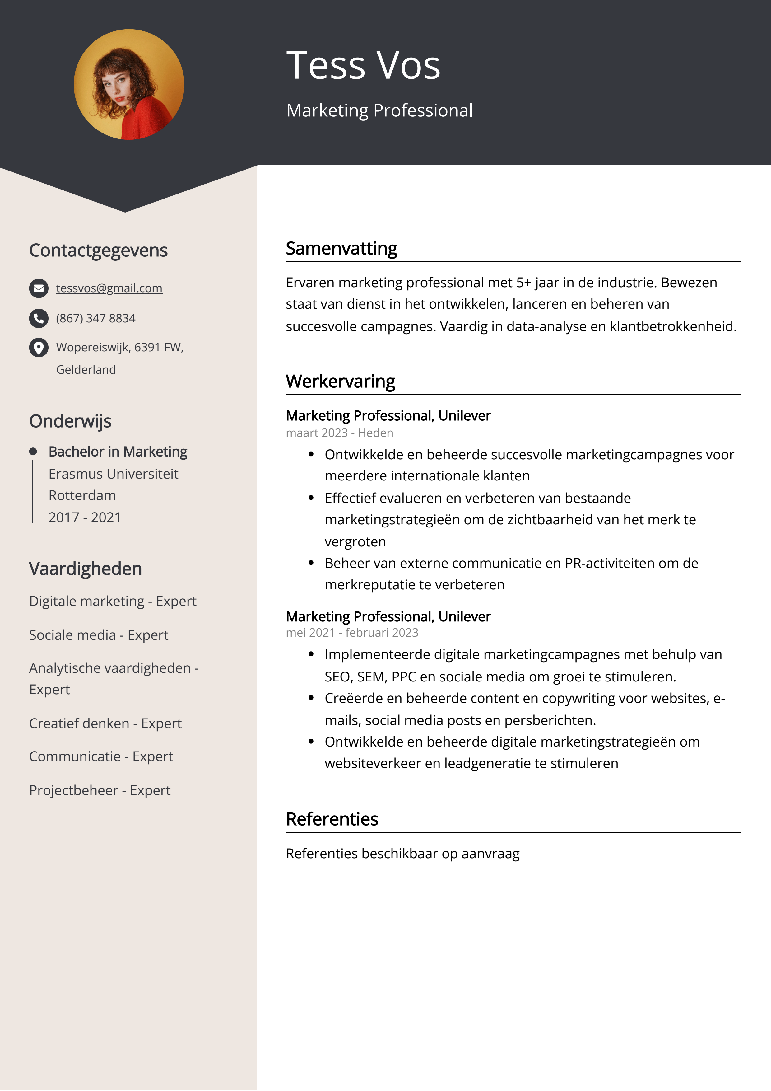 Marketing Professional CV Voorbeeld