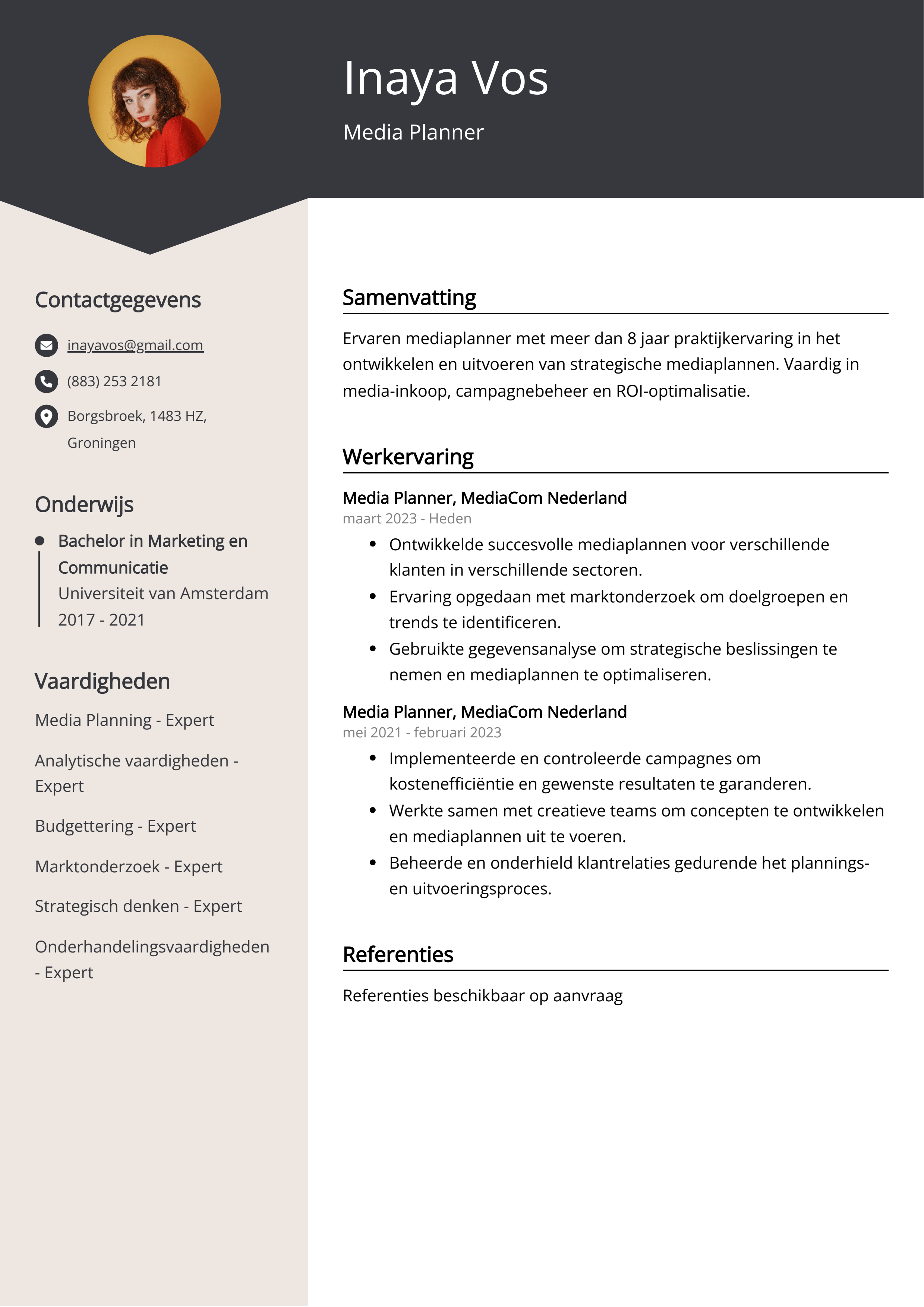 Media Planner CV Voorbeeld