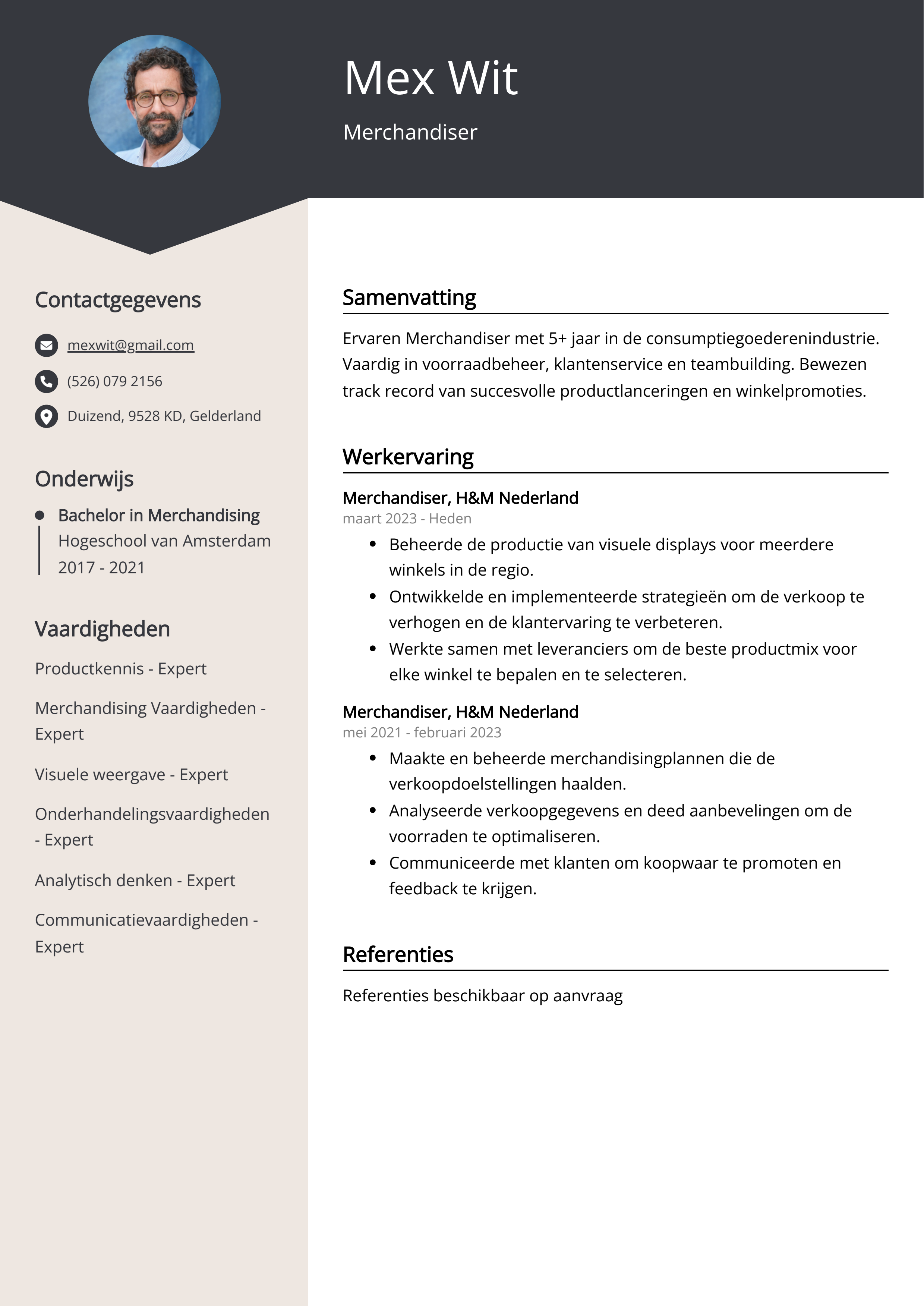 Merchandiser CV Voorbeeld