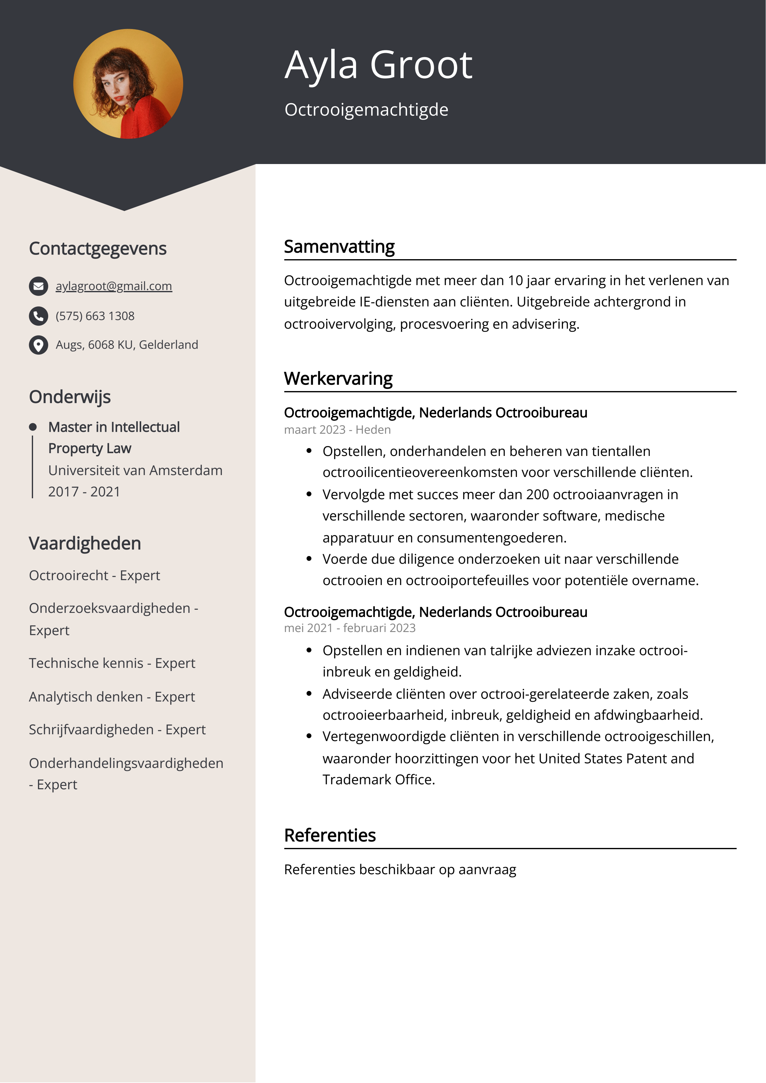 Octrooigemachtigde CV Voorbeeld