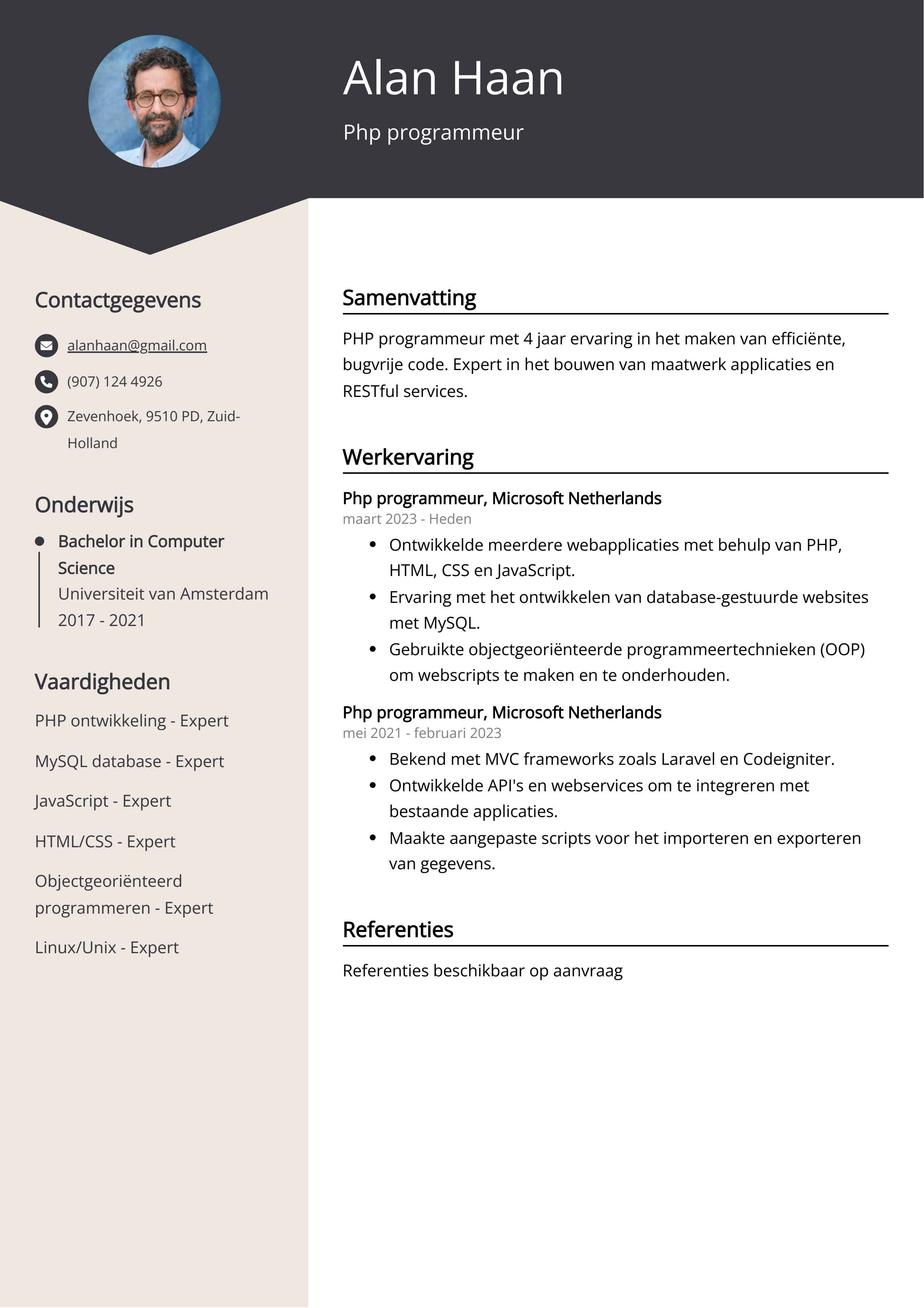 Php programmeur cv voorbeeld