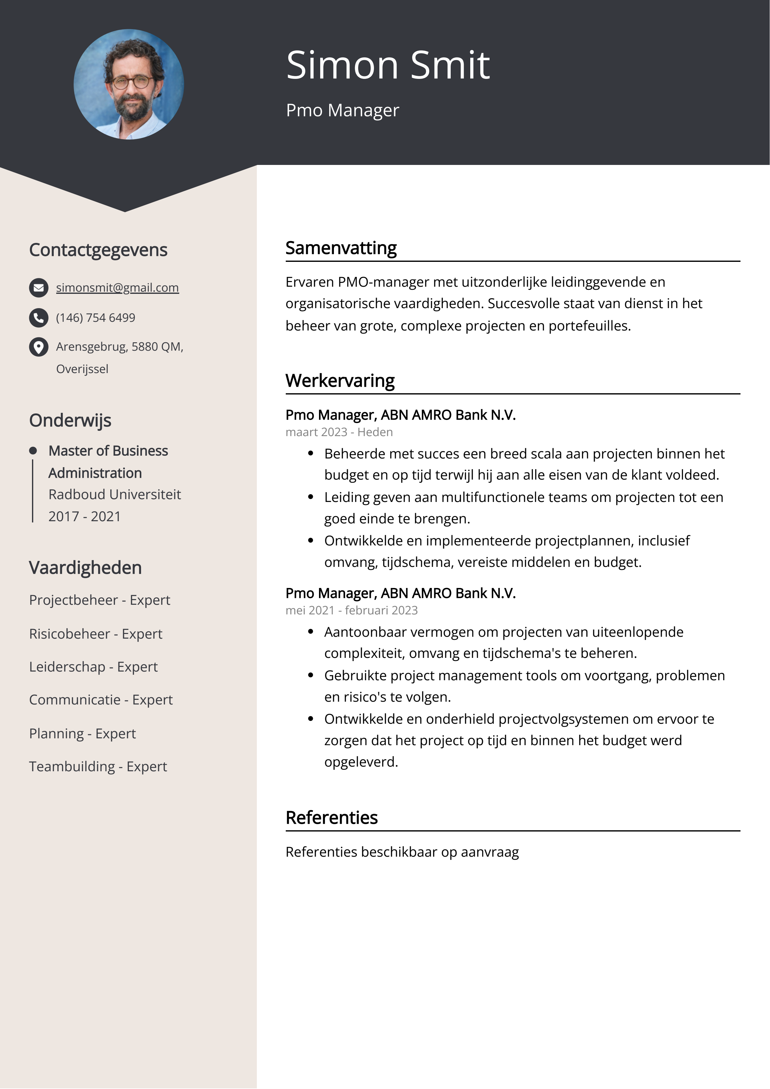 Pmo Manager CV Voorbeeld