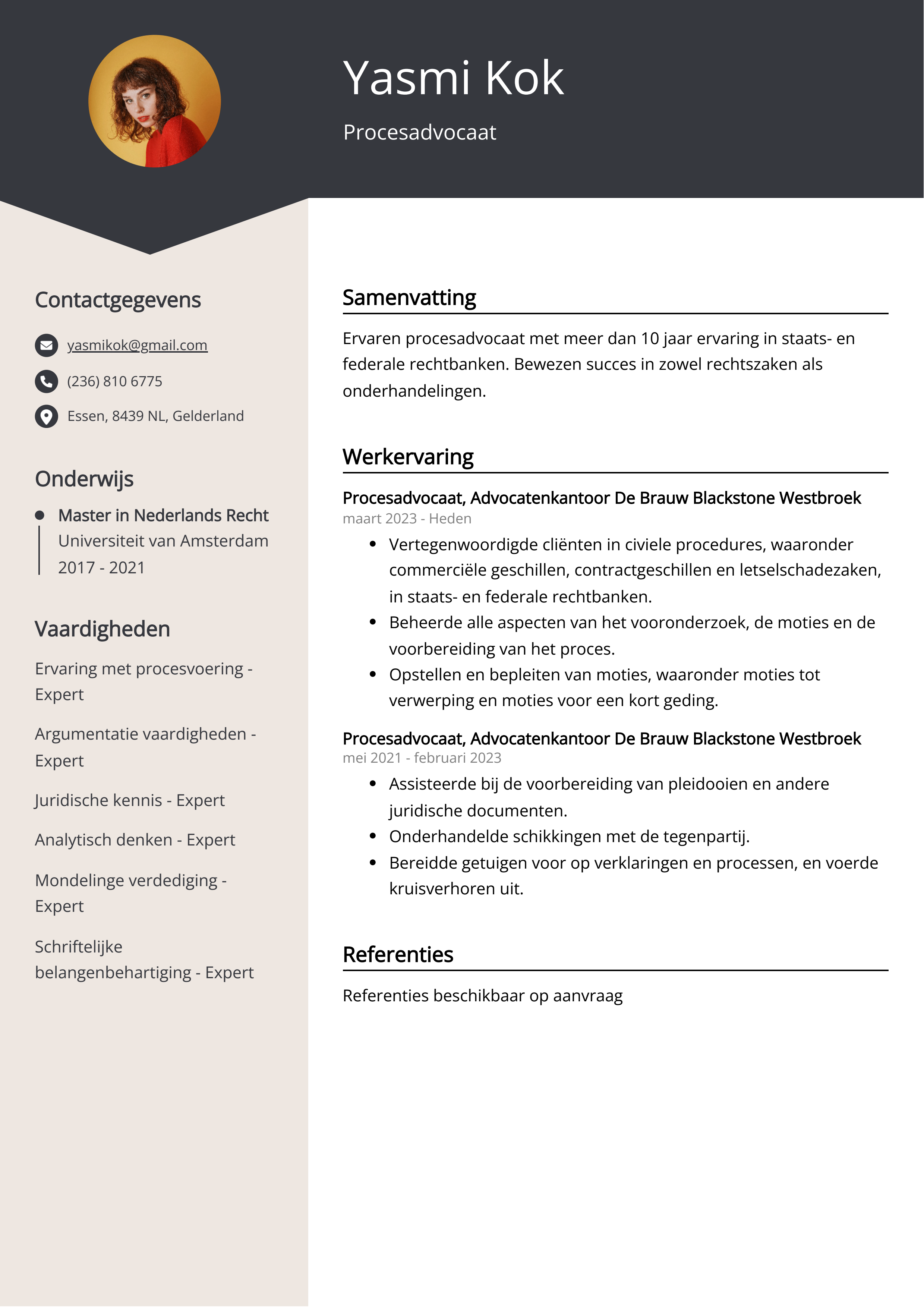 Procesadvocaat CV Voorbeeld