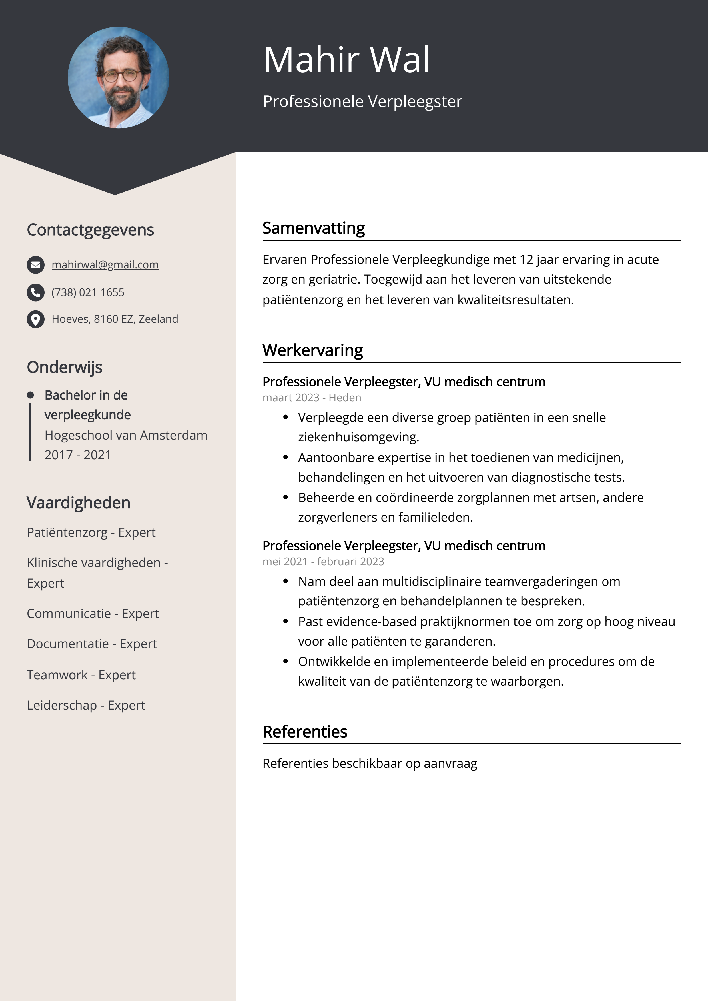 Professionele Verpleegster CV Voorbeeld