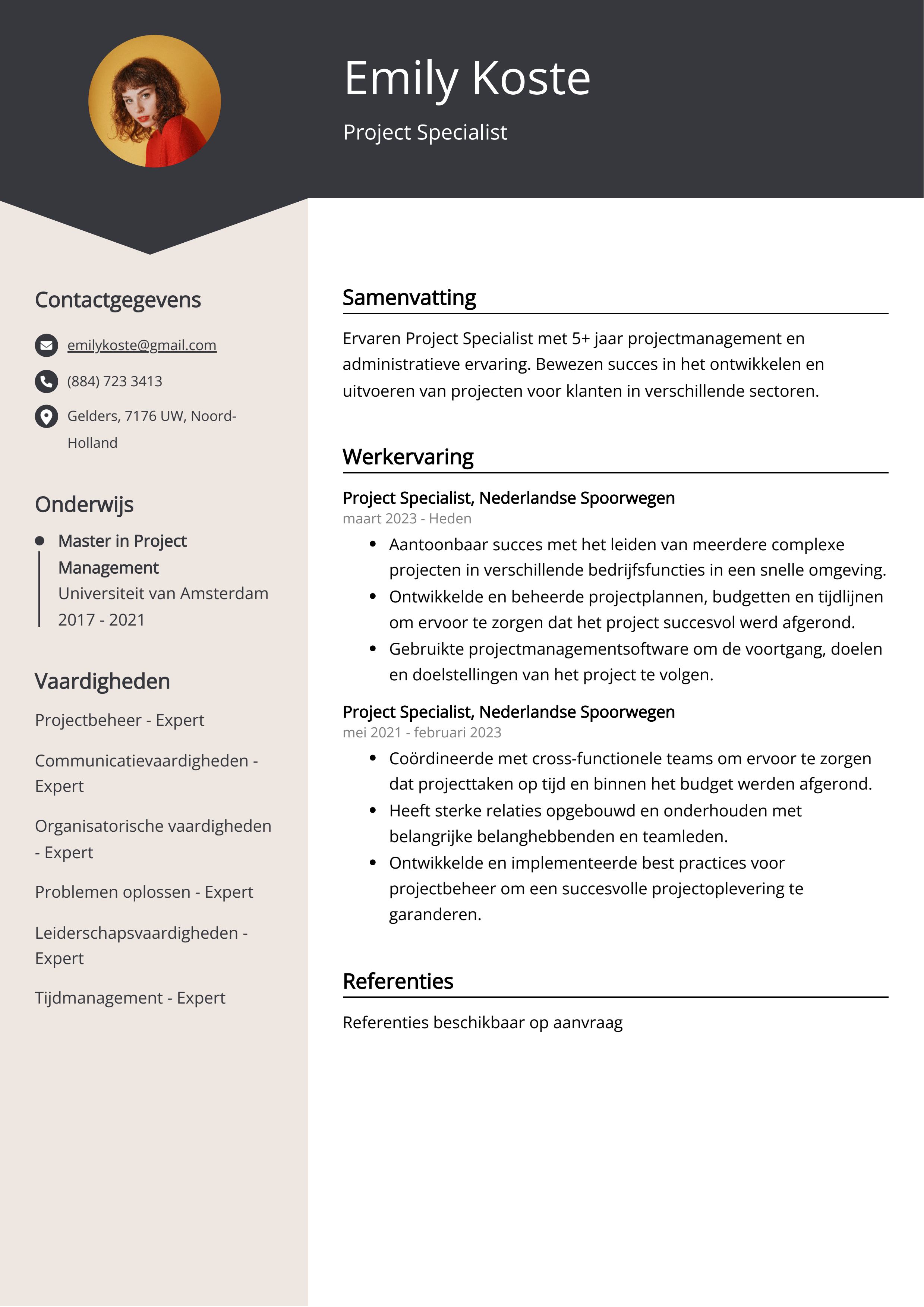 Project Specialist CV Voorbeeld