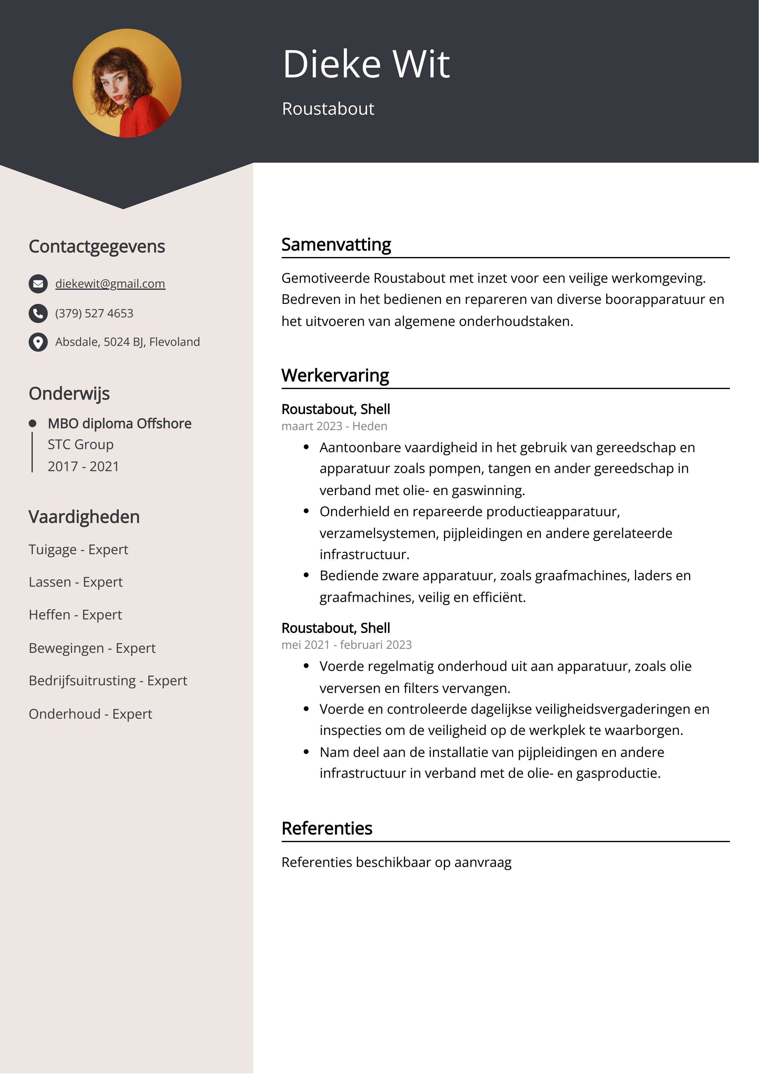 Roustabout CV Voorbeeld