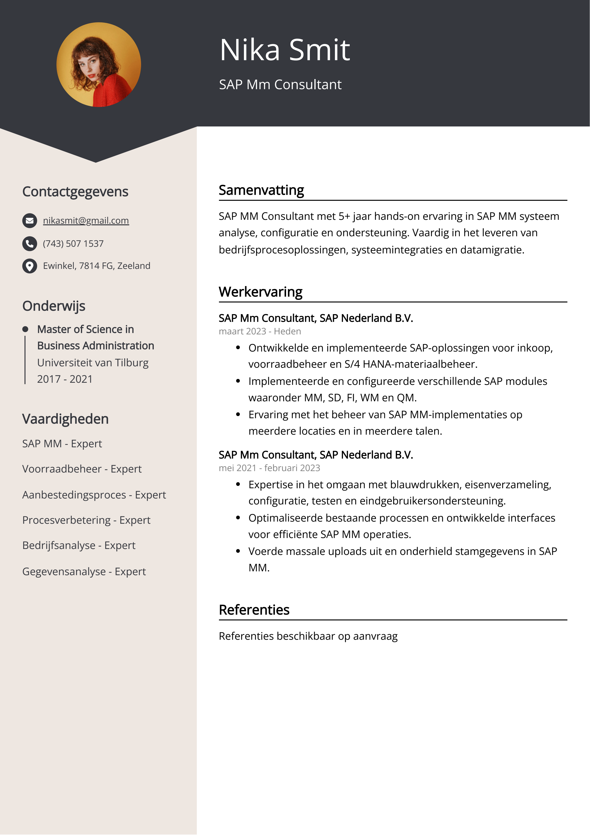 SAP Mm Consultant CV Voorbeeld