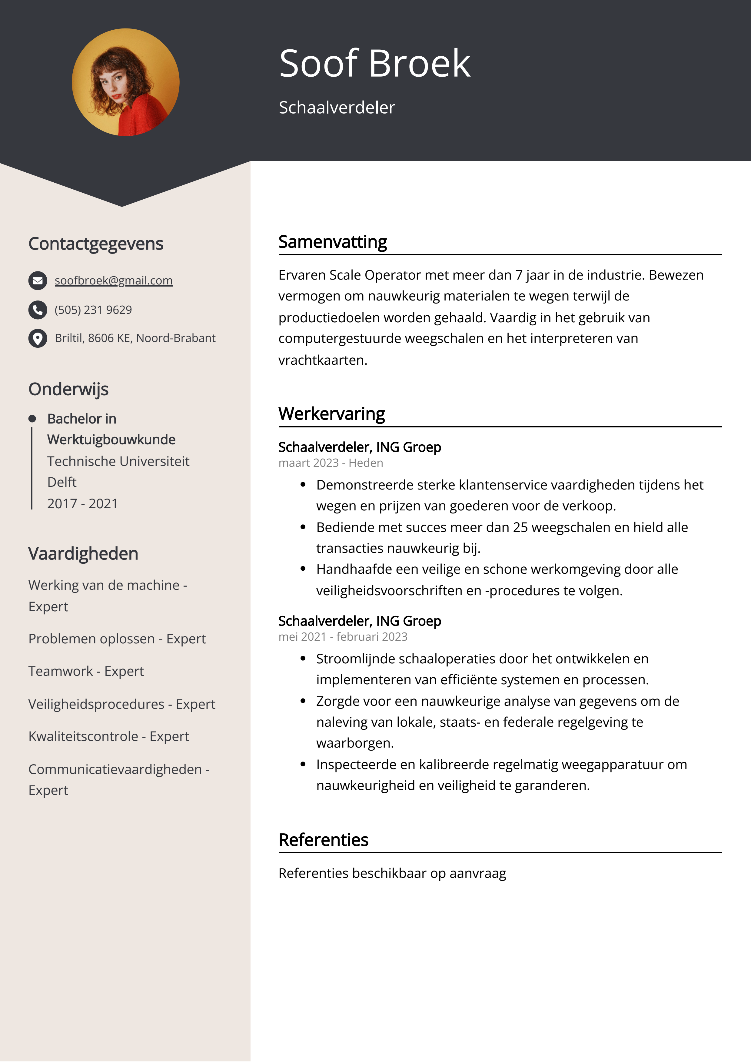 Schaalverdeler CV Voorbeeld