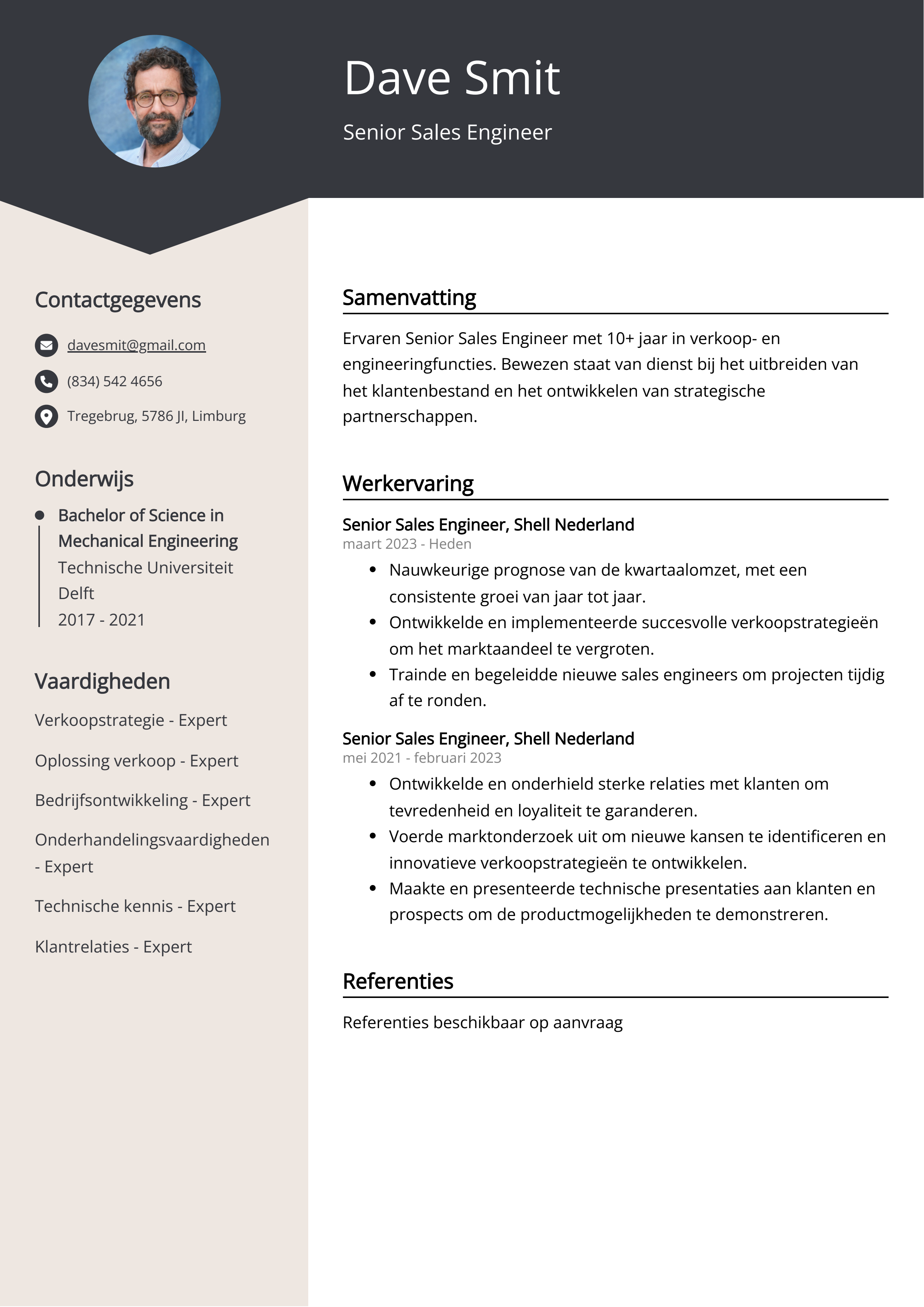 Senior Sales Engineer CV Voorbeeld