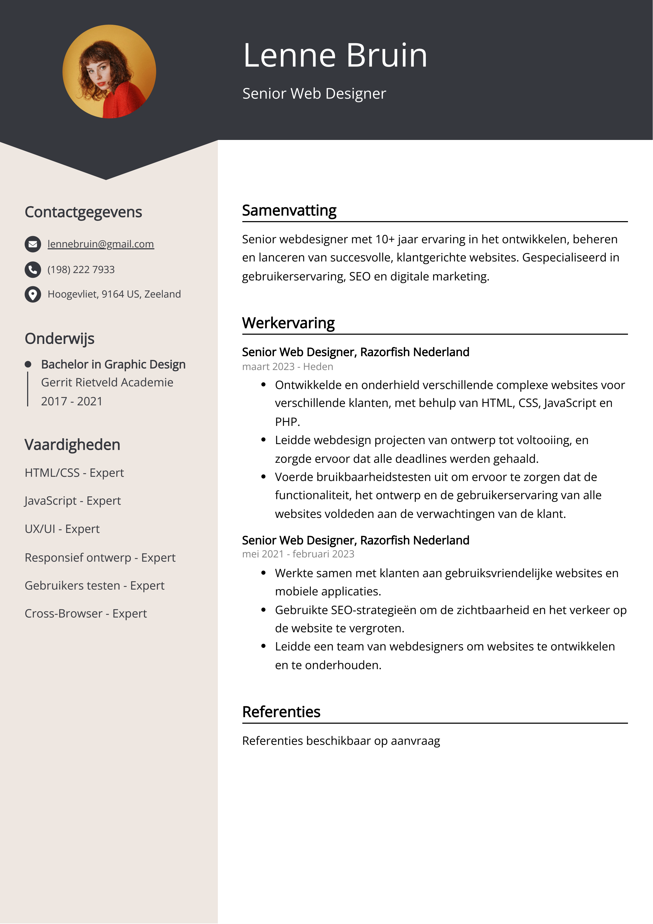 Senior Web Designer CV Voorbeeld