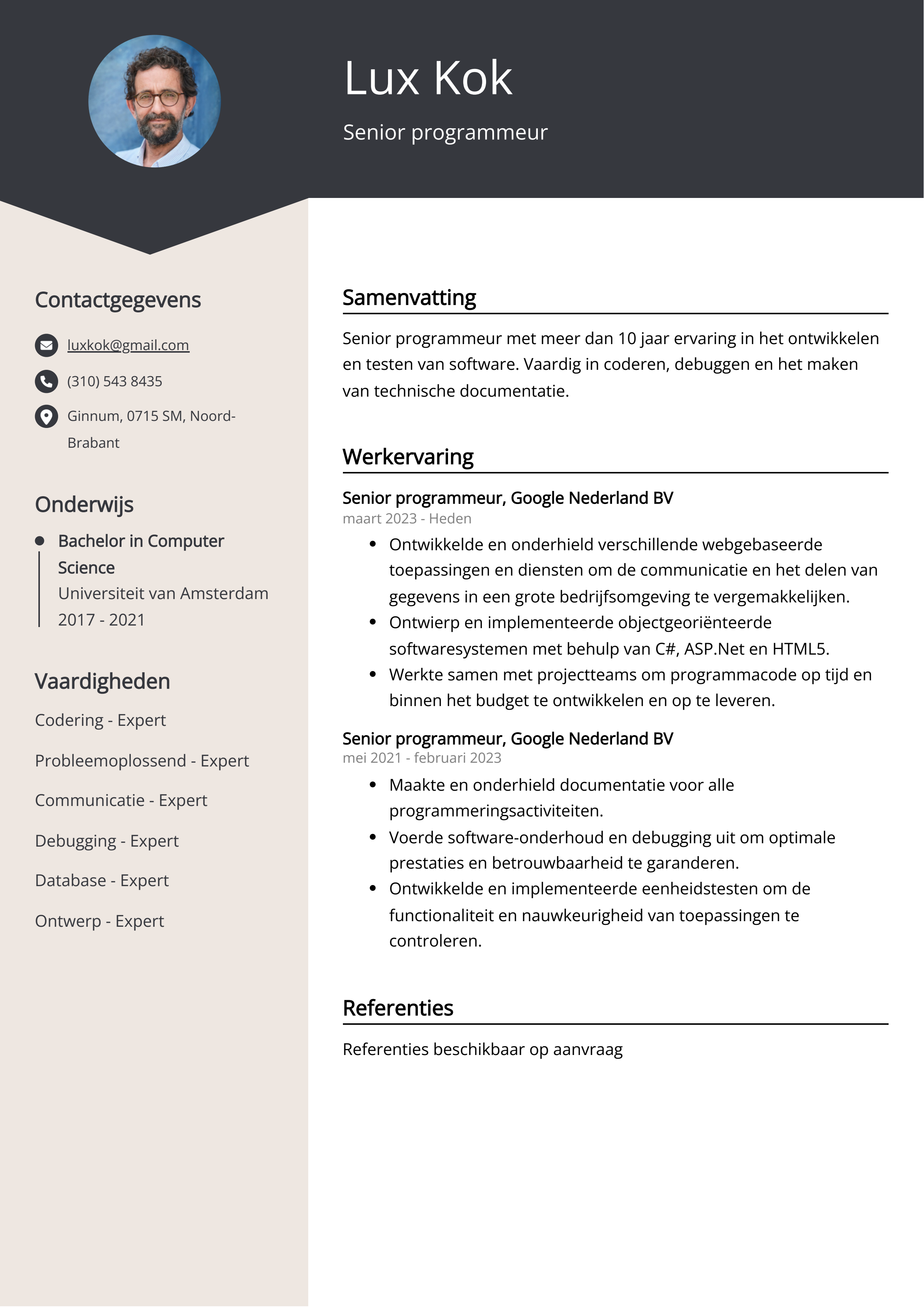 Senior programmeur cv voorbeeld