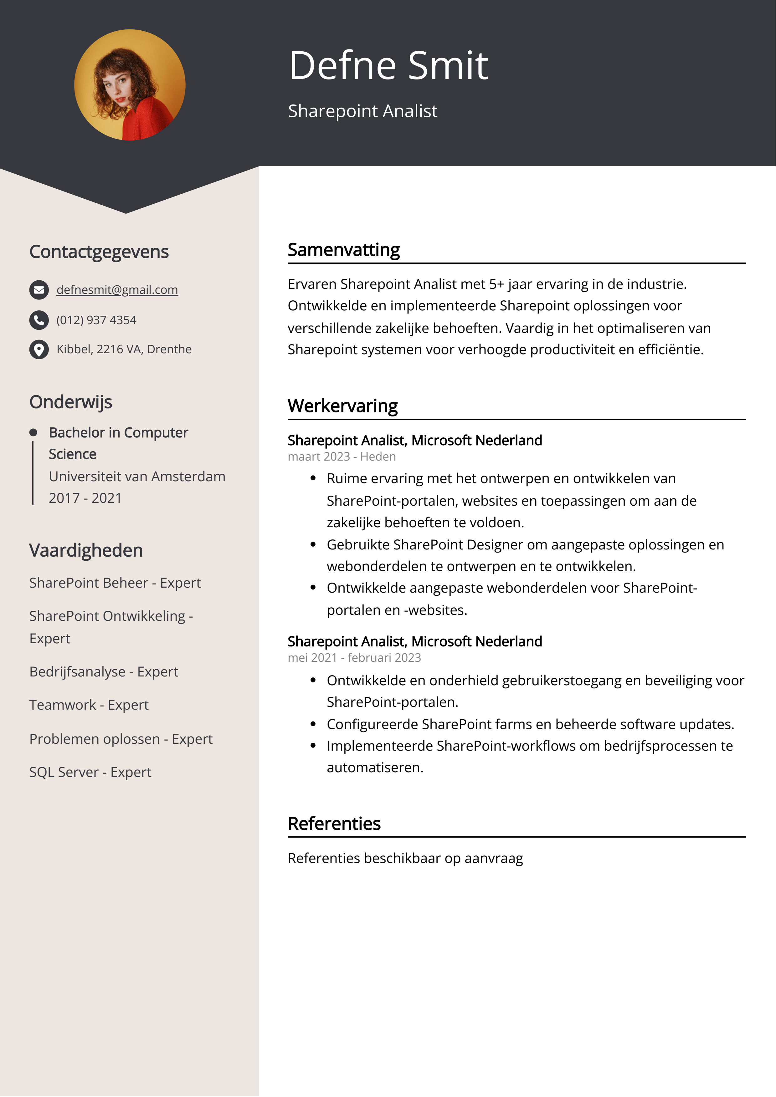 Sharepoint Analist CV Voorbeeld