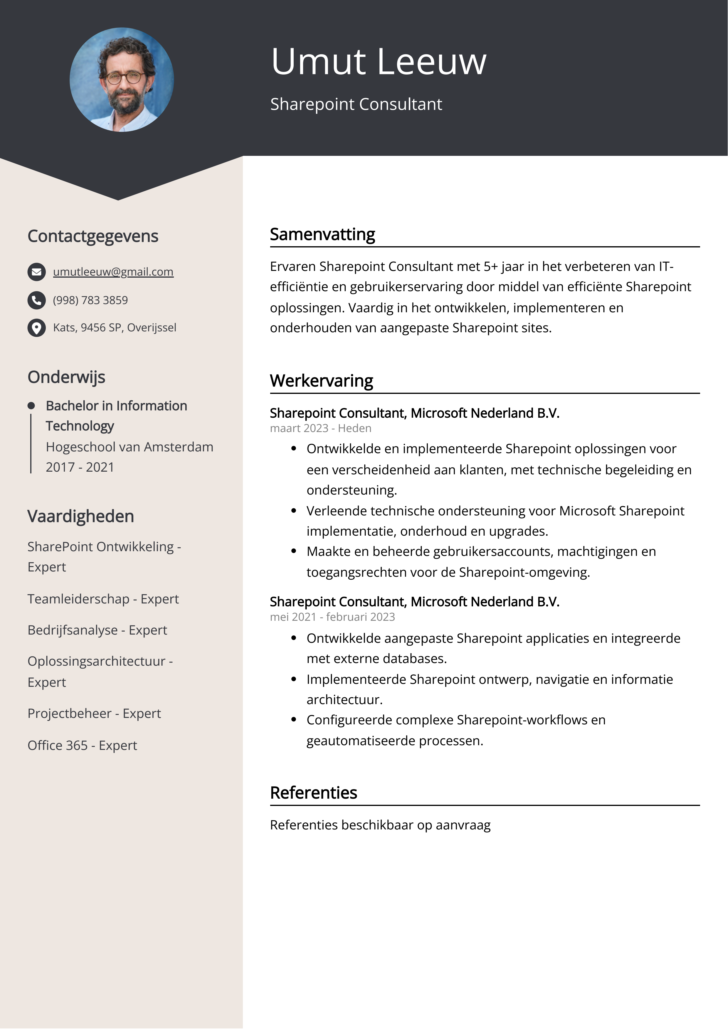 Sharepoint Consultant CV Voorbeeld