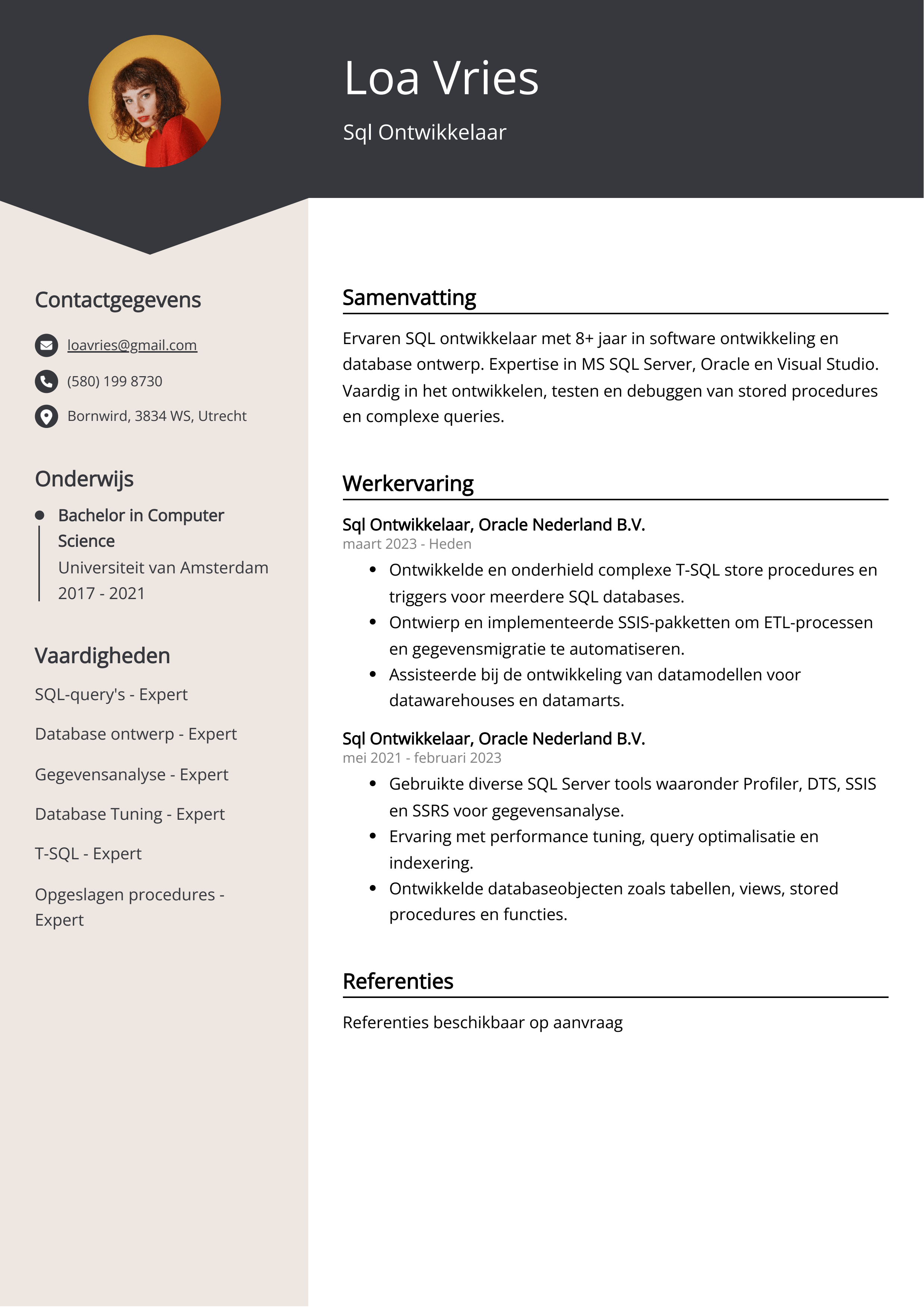 Sql Ontwikkelaar CV Voorbeeld