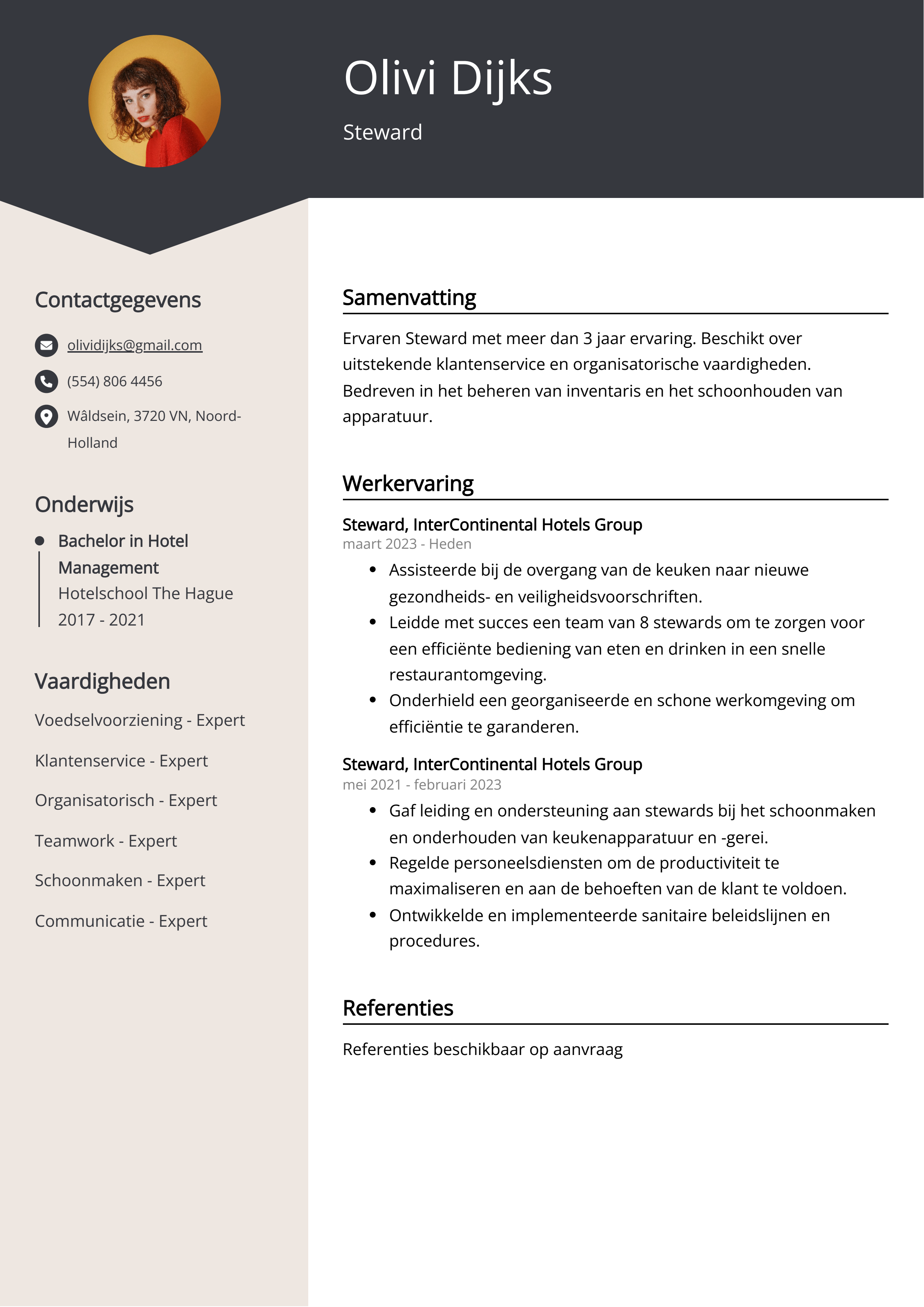 Steward CV Voorbeeld