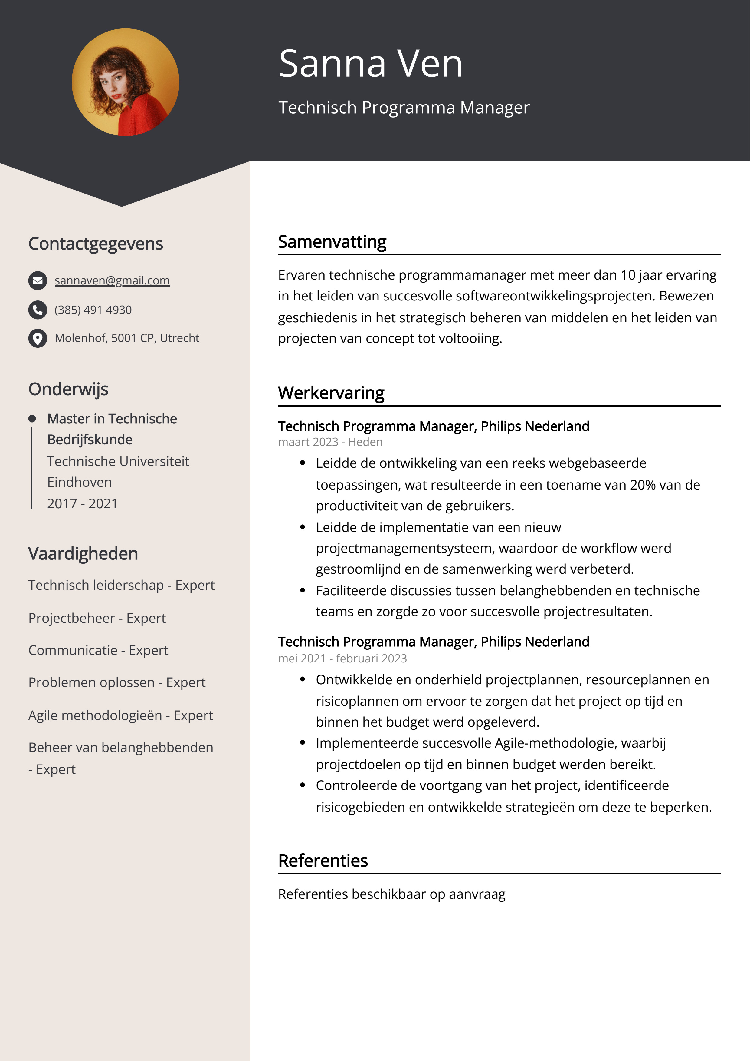 Technisch Programma Manager CV Voorbeeld