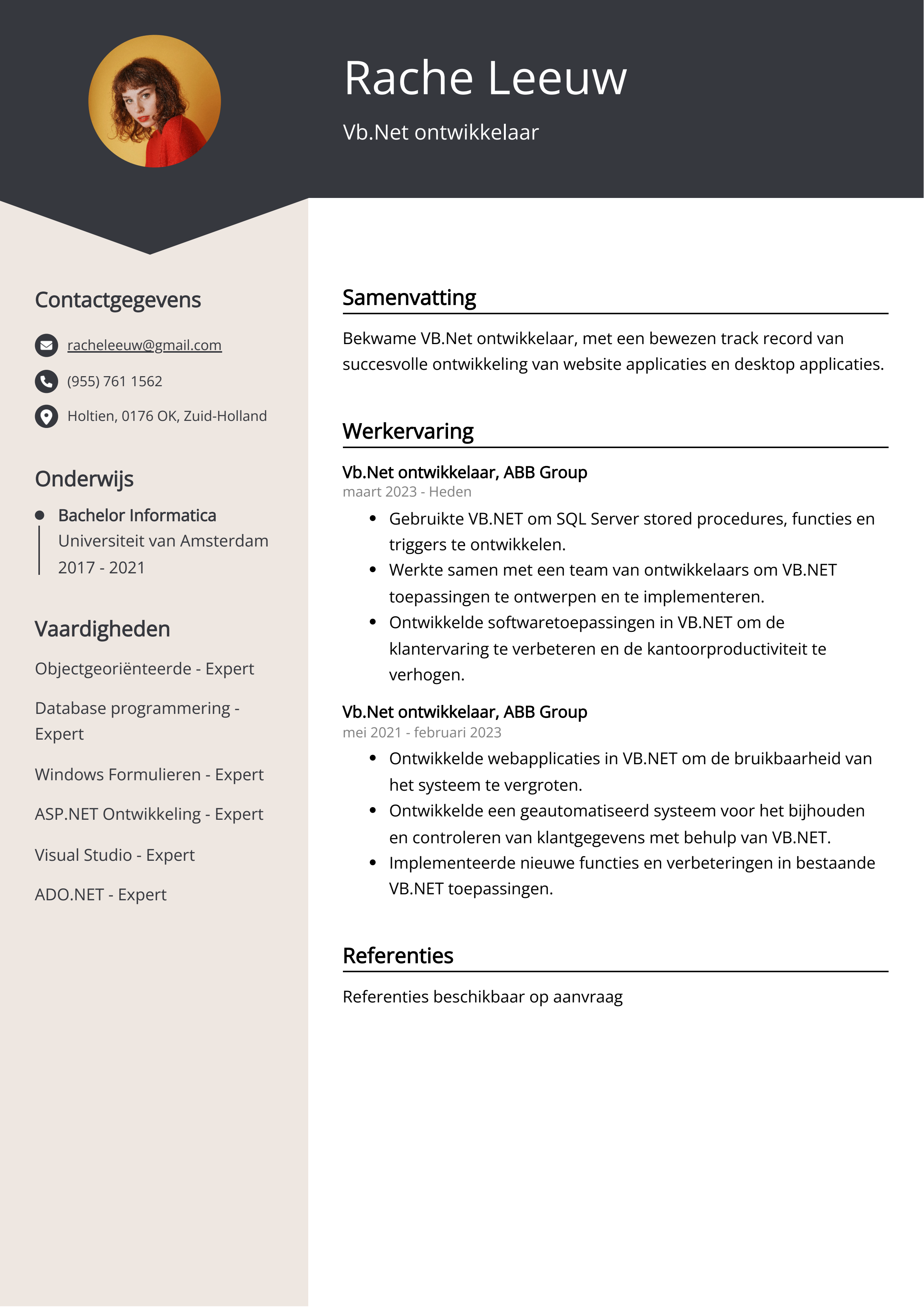 Vb.Net ontwikkelaar cv voorbeeld