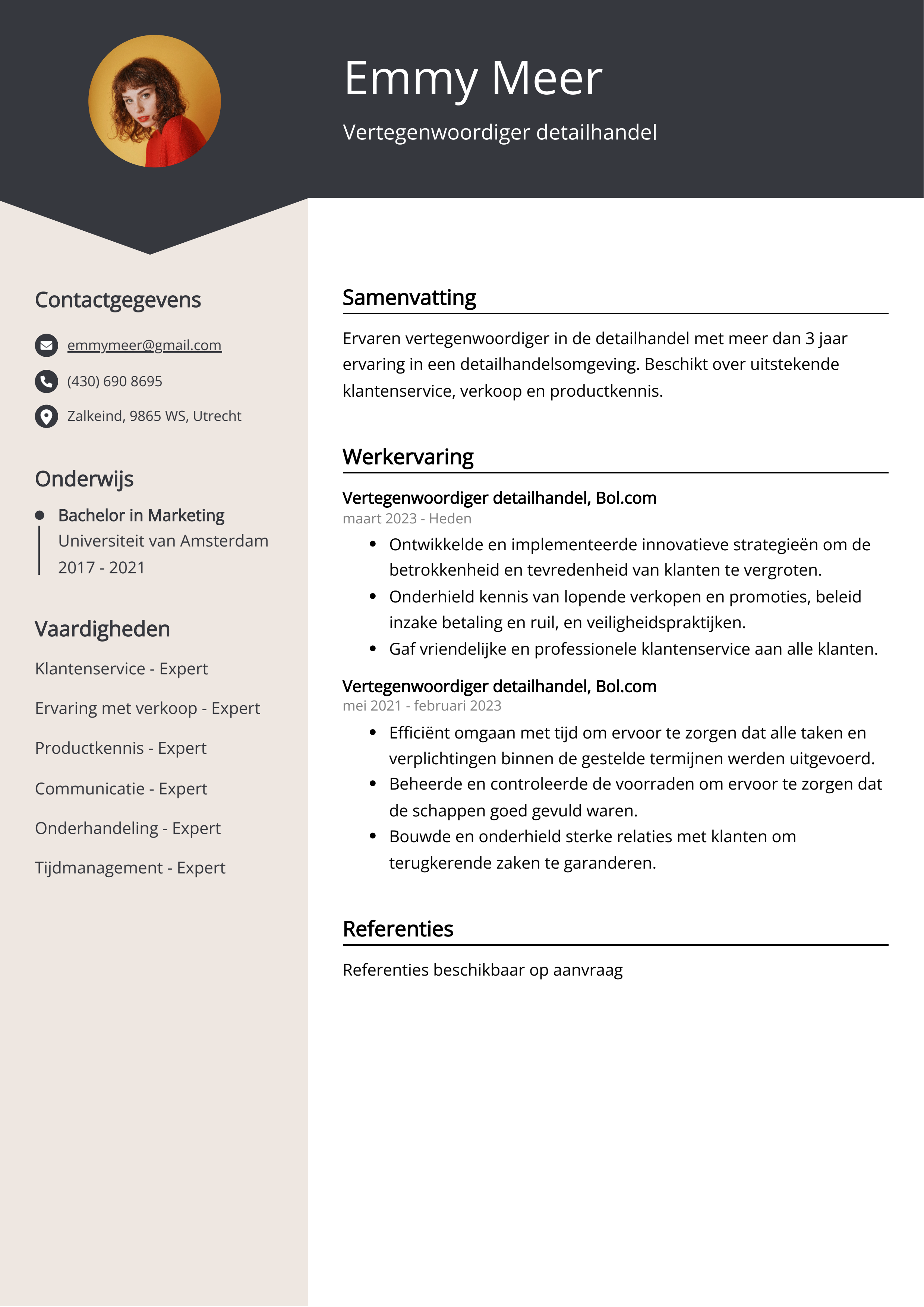 Vertegenwoordiger detailhandel CV Voorbeeld