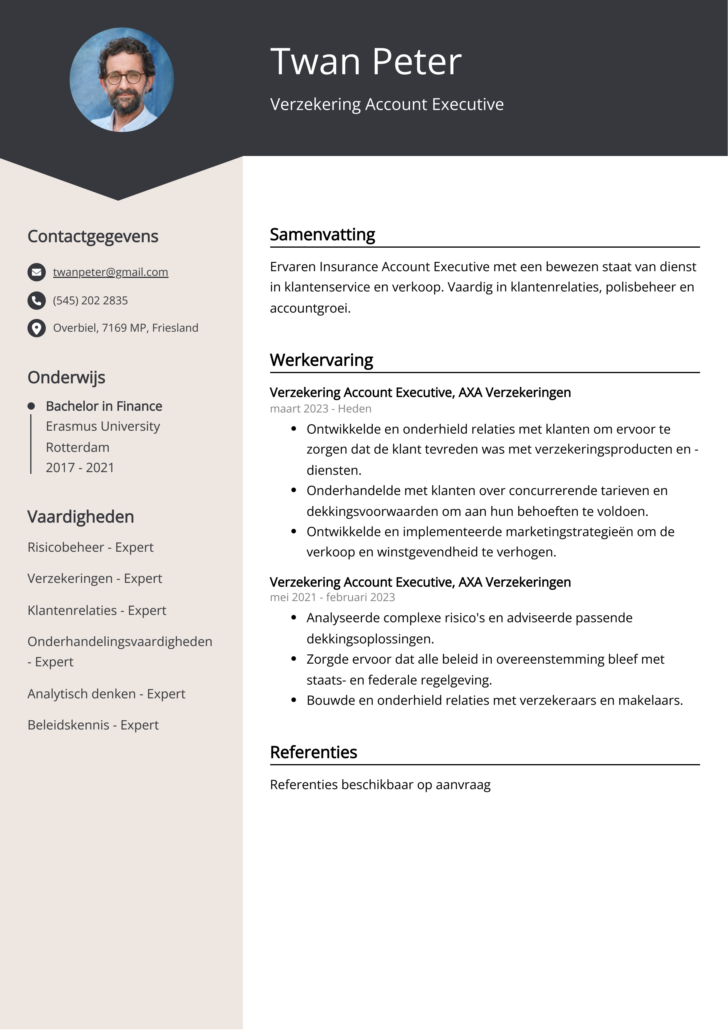 Verzekering Account Executive CV Voorbeeld